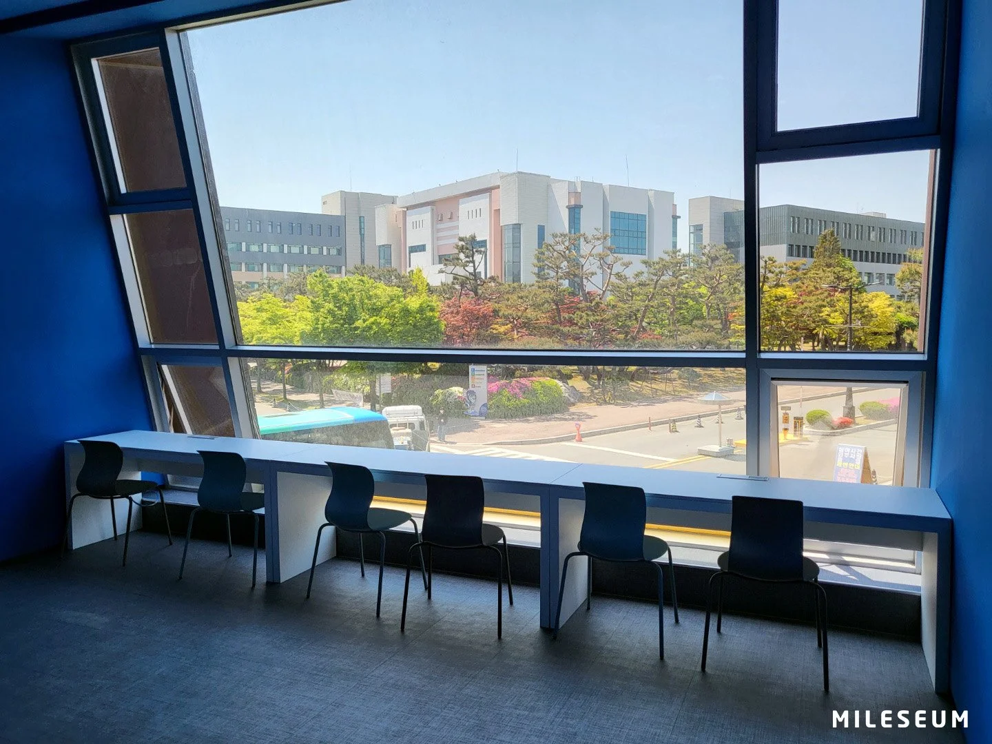 erica campus photoview7.jpg
