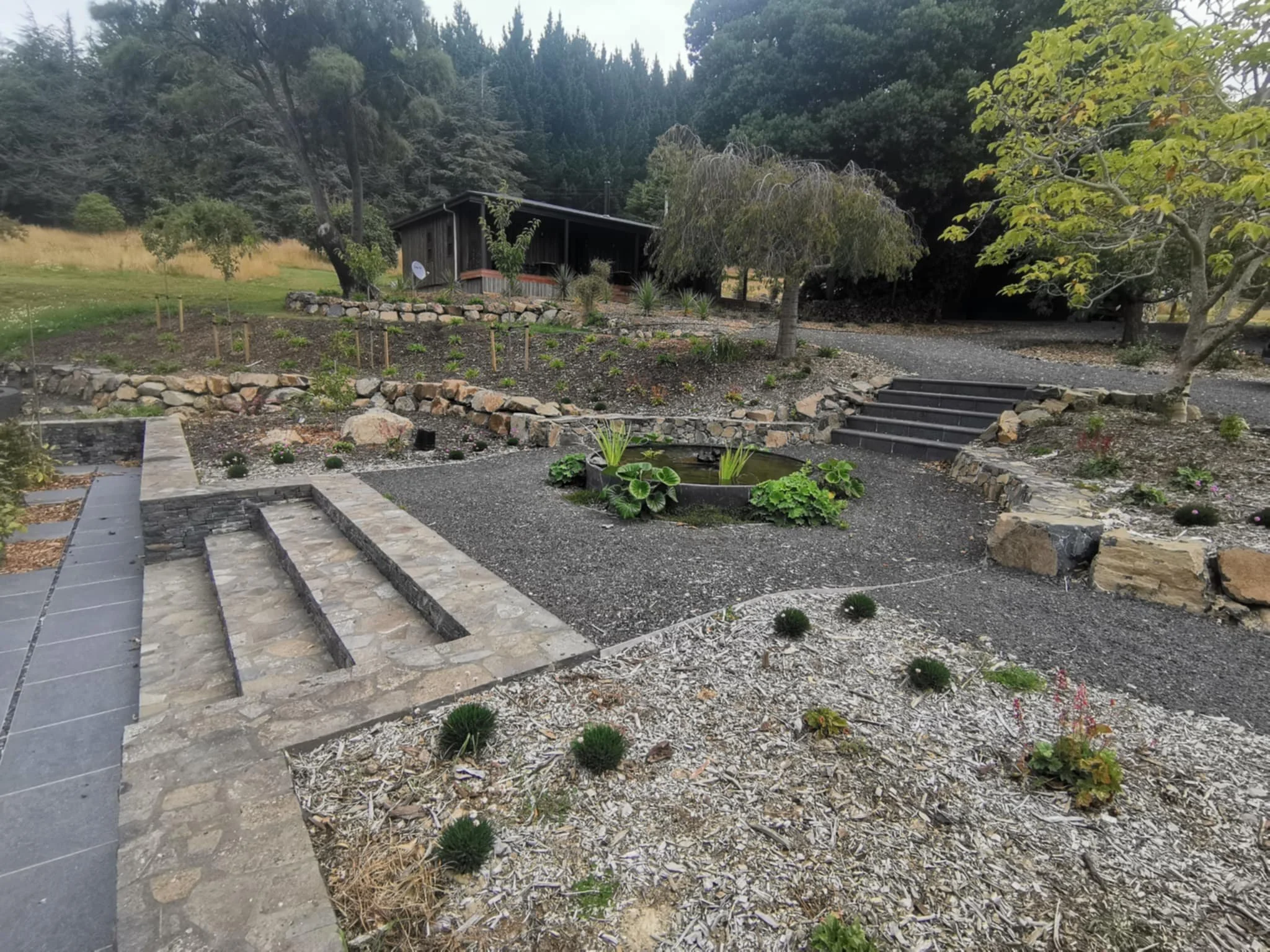 A landscaped garden with stone borders, small plants, shrubs, and trees, with a wooden structure in the background surrounded by a forested area.
