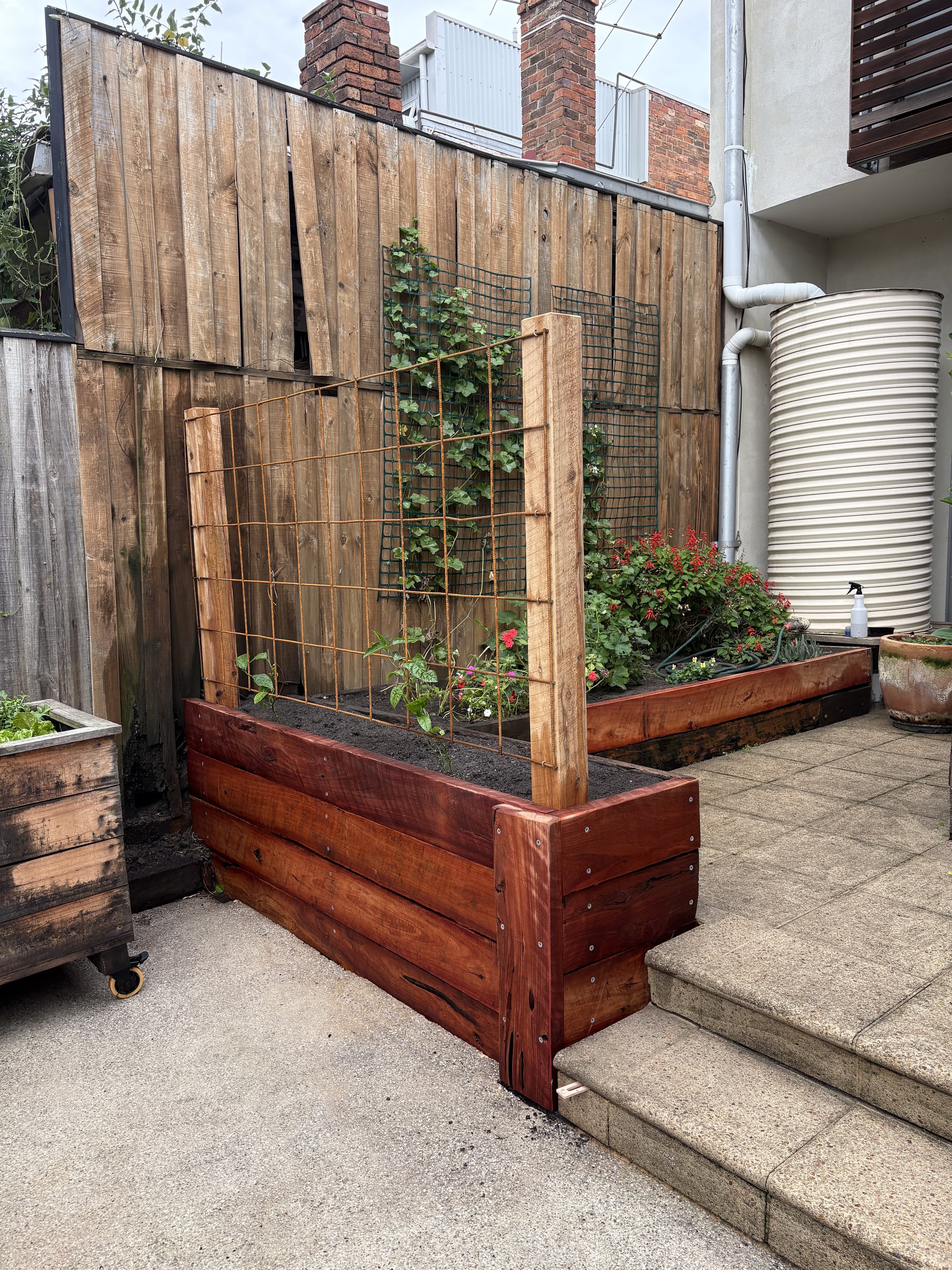 A backyard garden with wooden raised plant bed and climbing plants on a trellis fence, surrounded by a brick and concrete wall, with a large water tank and a spray bottle nearby.