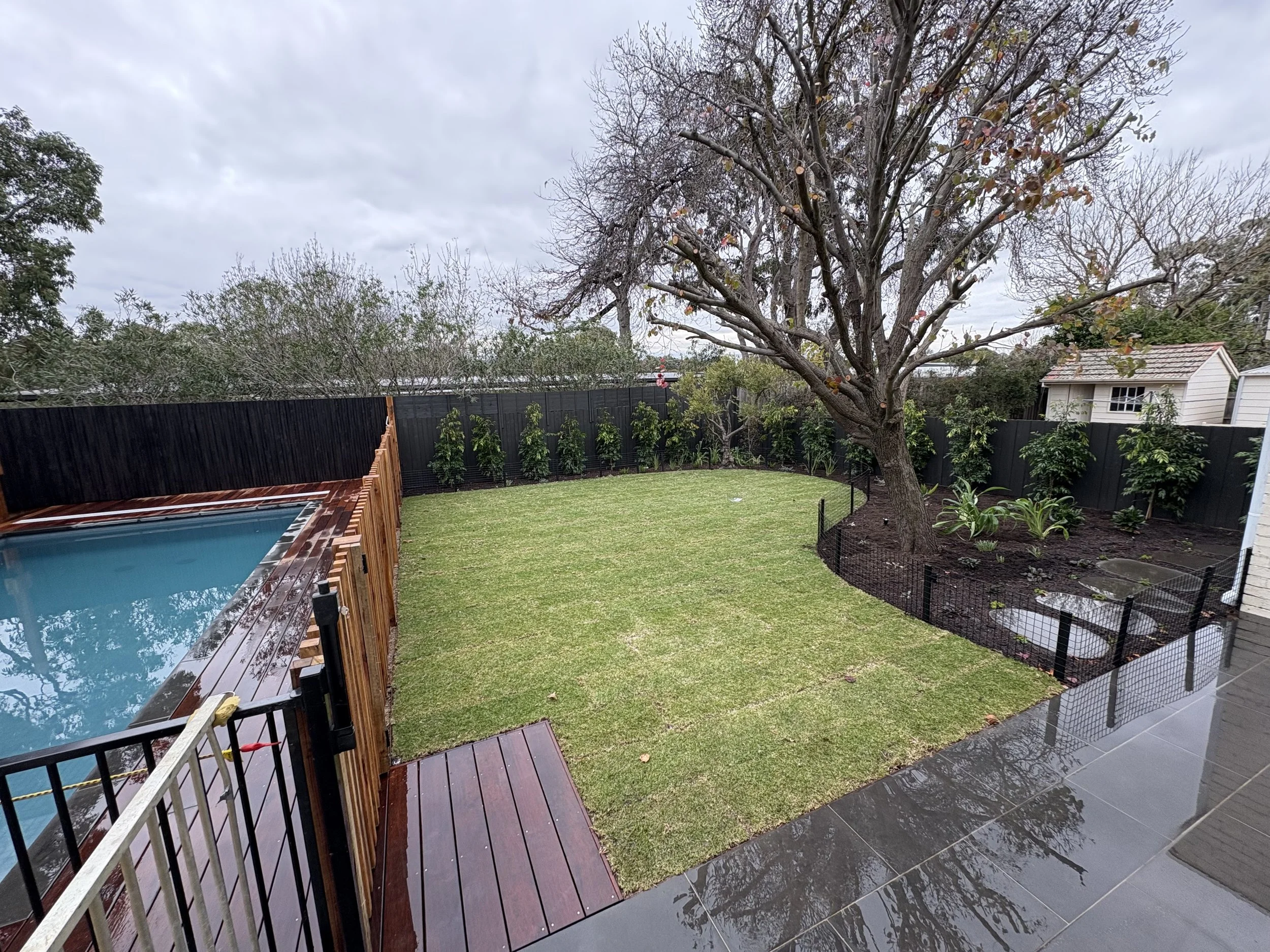 Backyard scene with a large leafless tree, green grass, a black fence, a small shed, and weathered gray tiles and a wooden deck, under a cloudy sky.