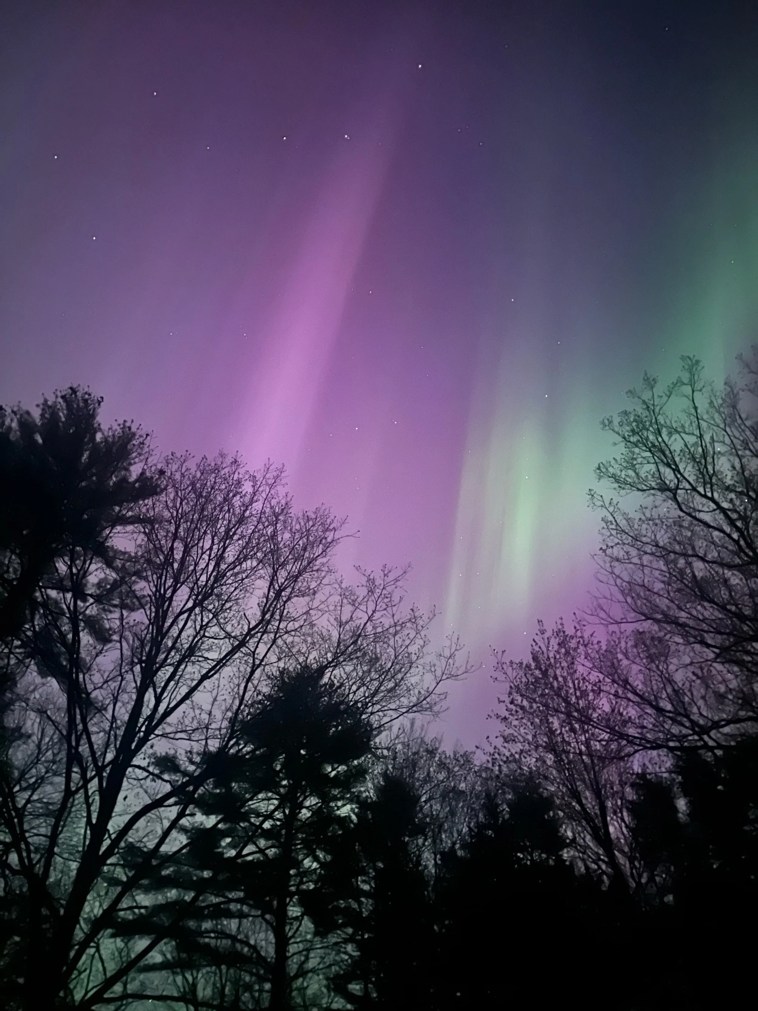 I can&rsquo;t believe I was lucky enough to witness the spectacular beauty of the Northern Lights from my driveway last spring! The sky put on a truly unforgettable show.