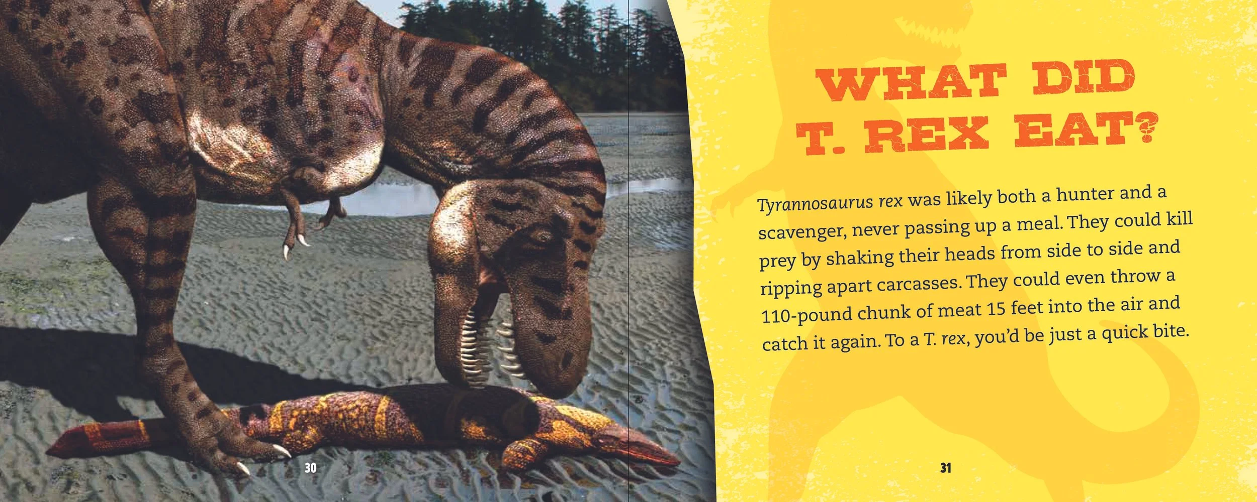INT_TRexHandbook-04.jpg
