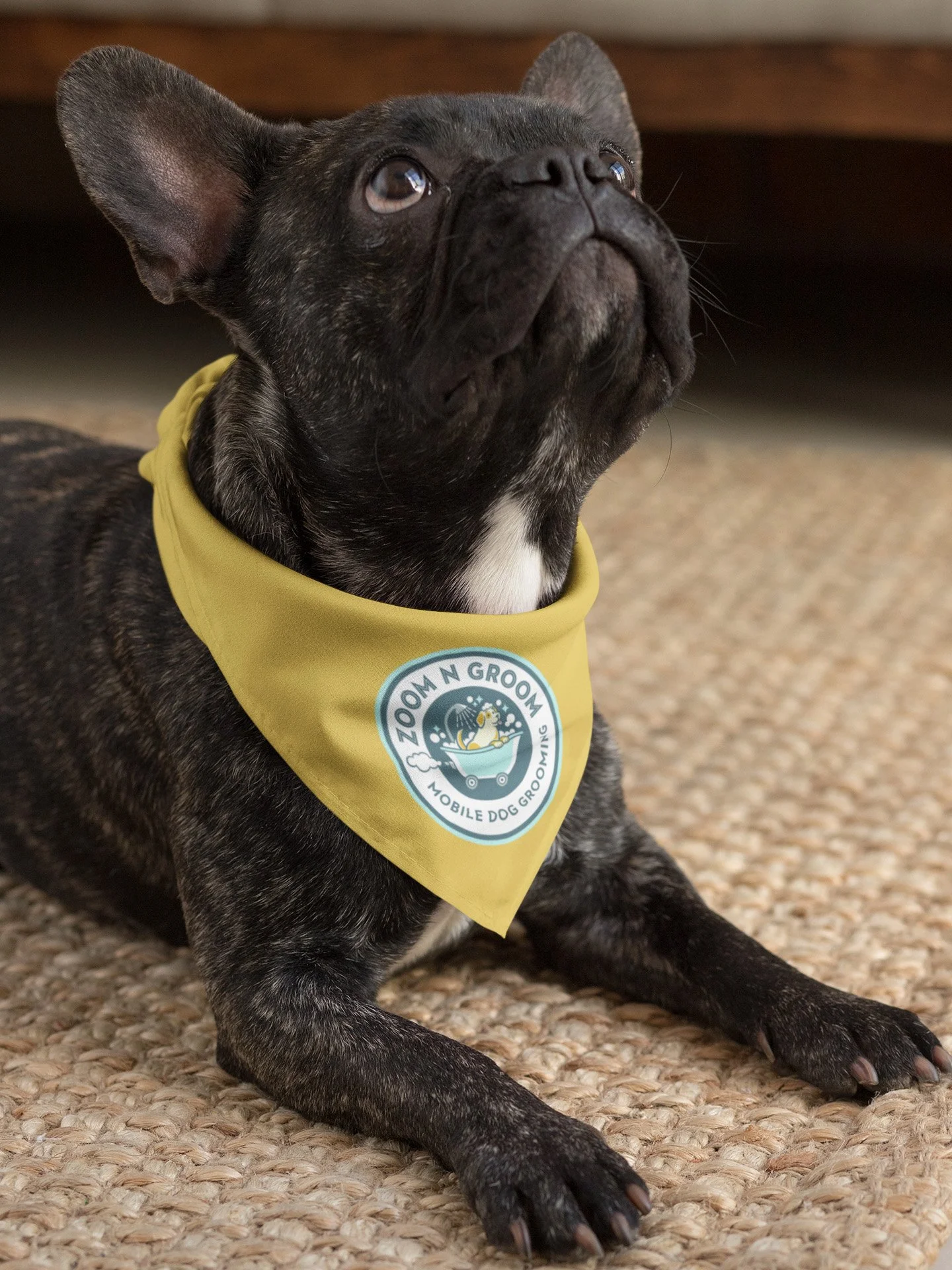 DogBandana.jpg