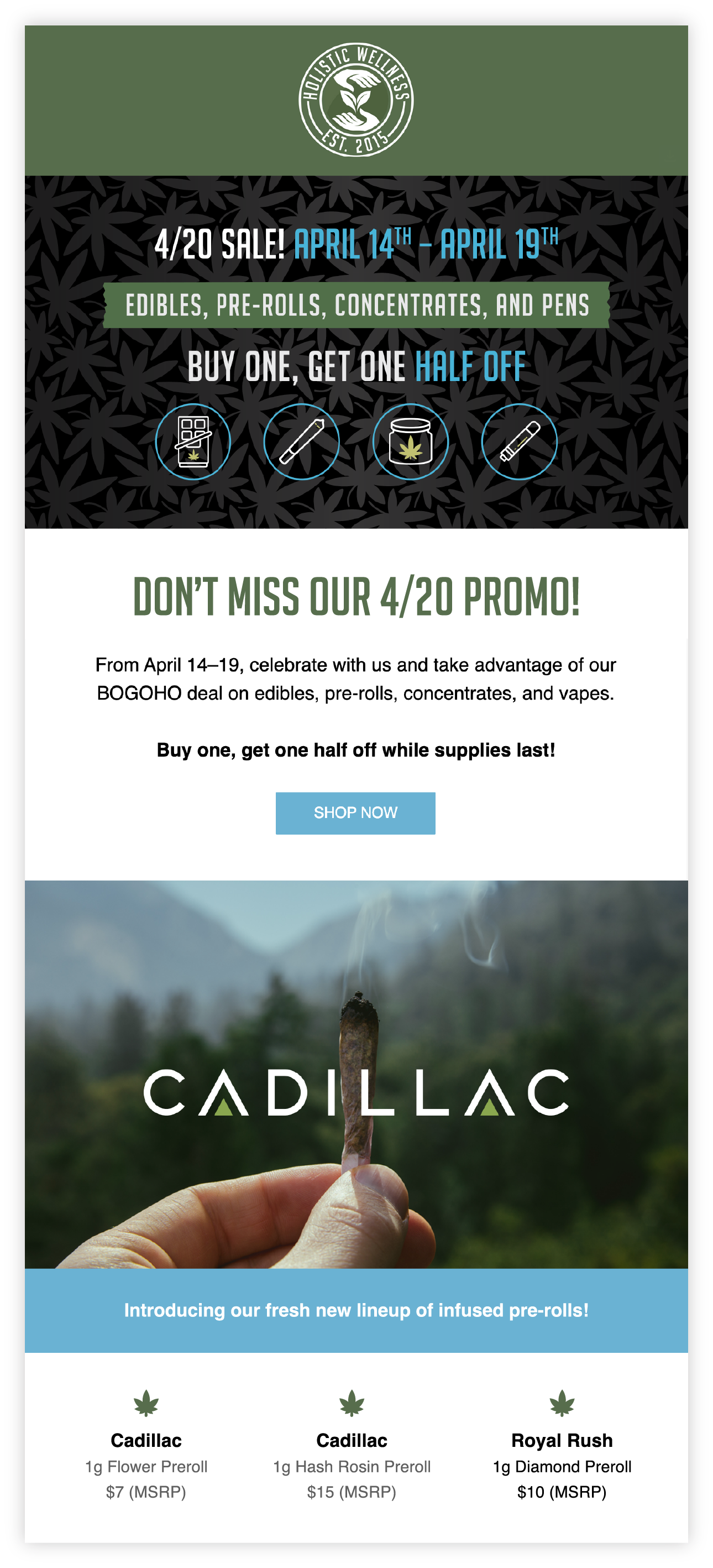 Email Newsletter