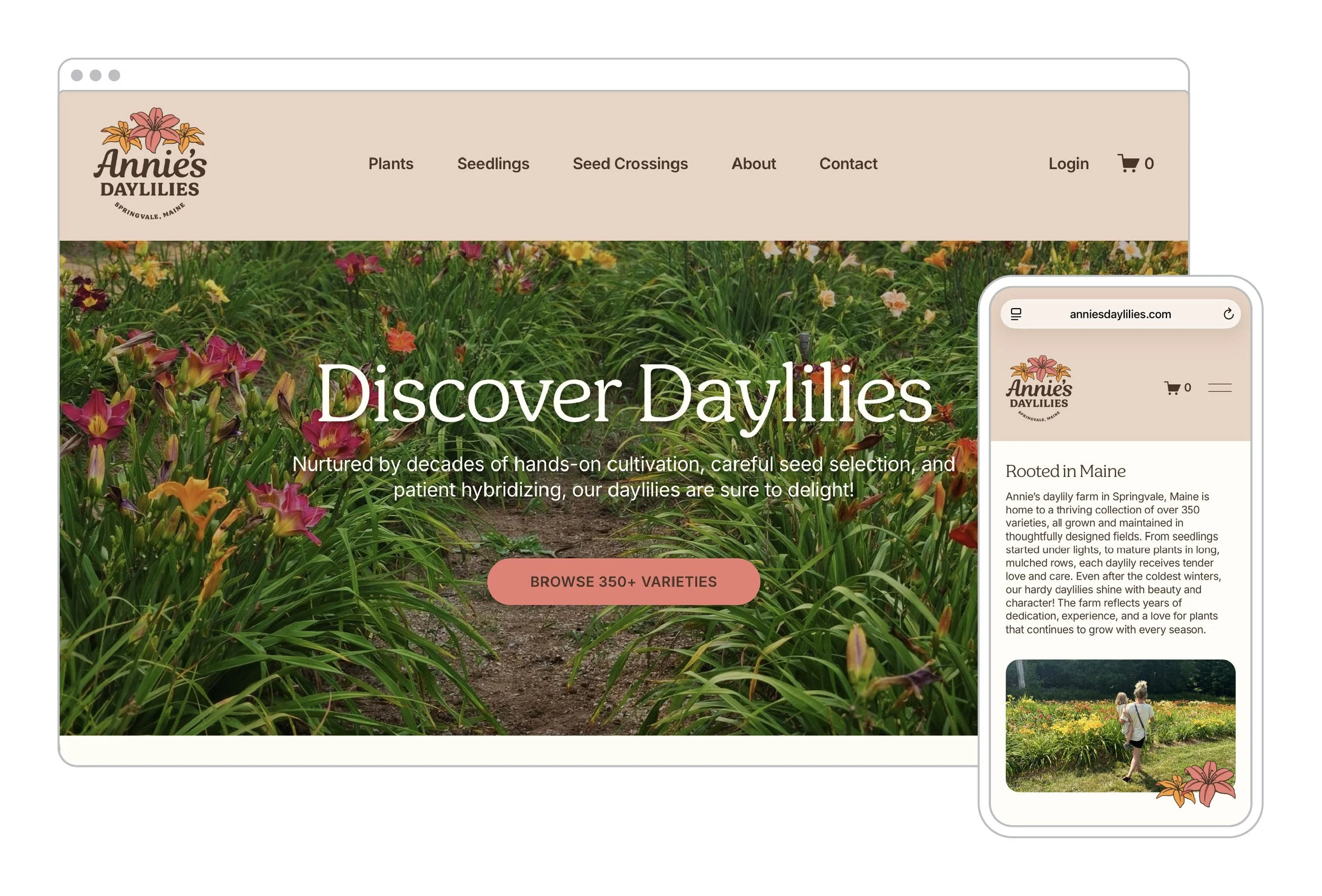 AnniesDaylilies_ScreenMockup.jpg