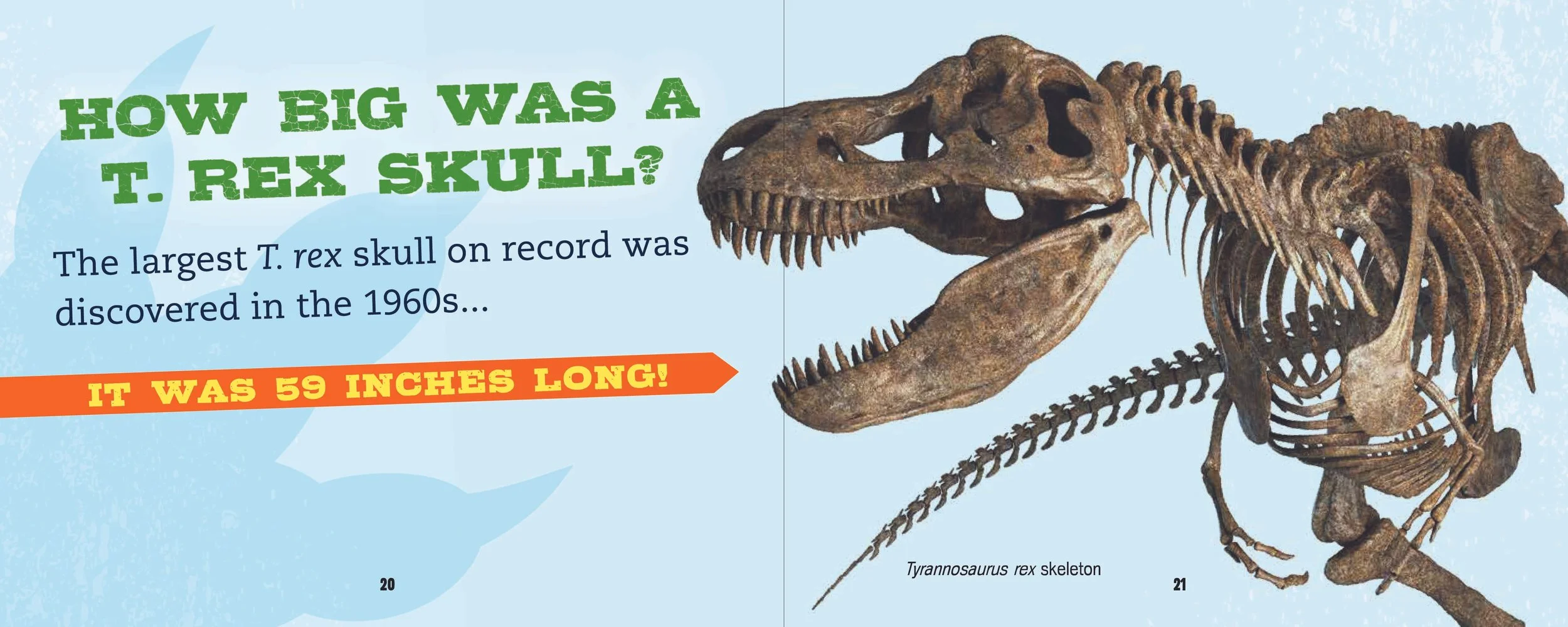 INT_TRexHandbook-02.jpg
