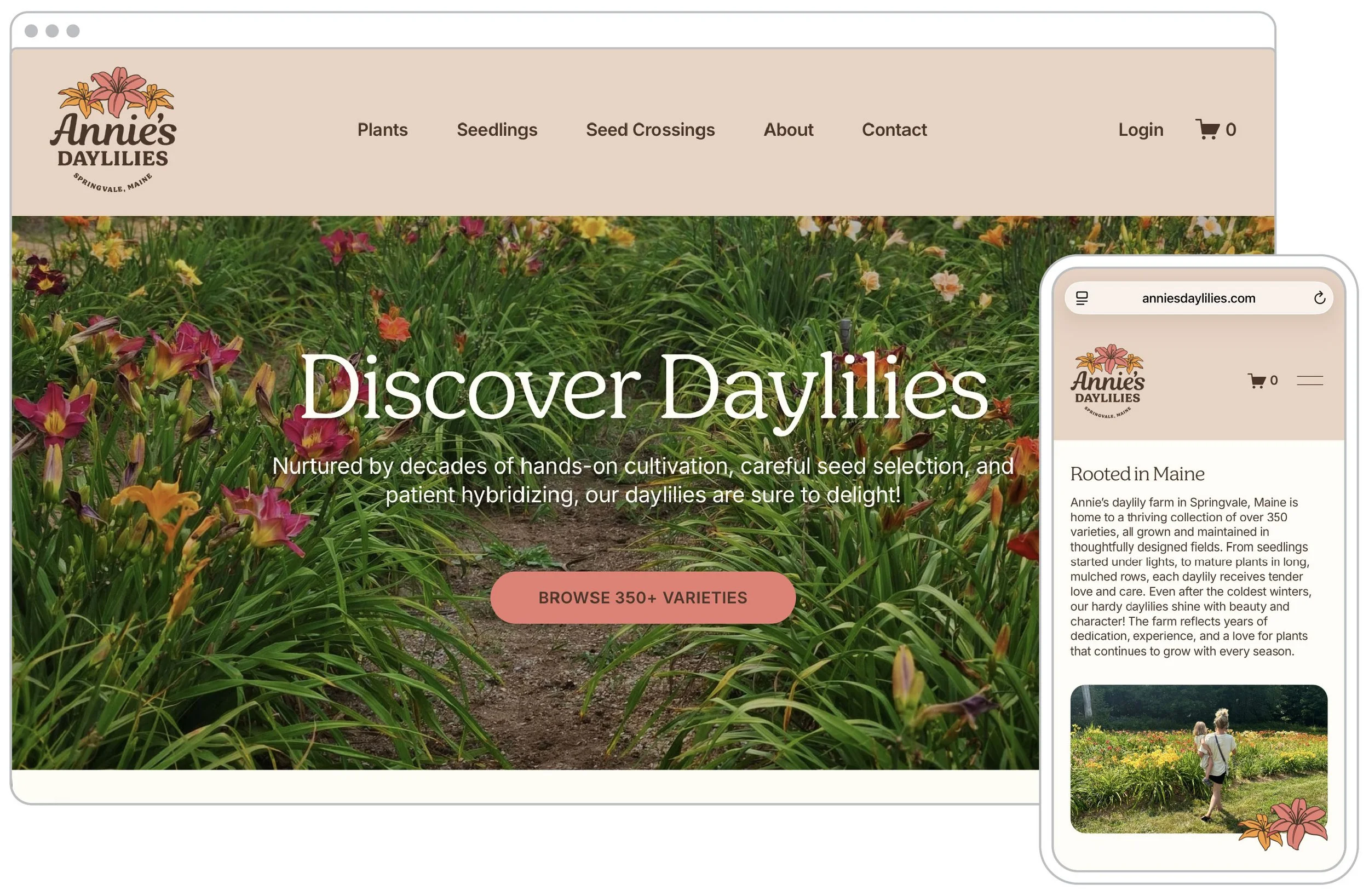 Annies Daylilies Screen Mockup.jpg