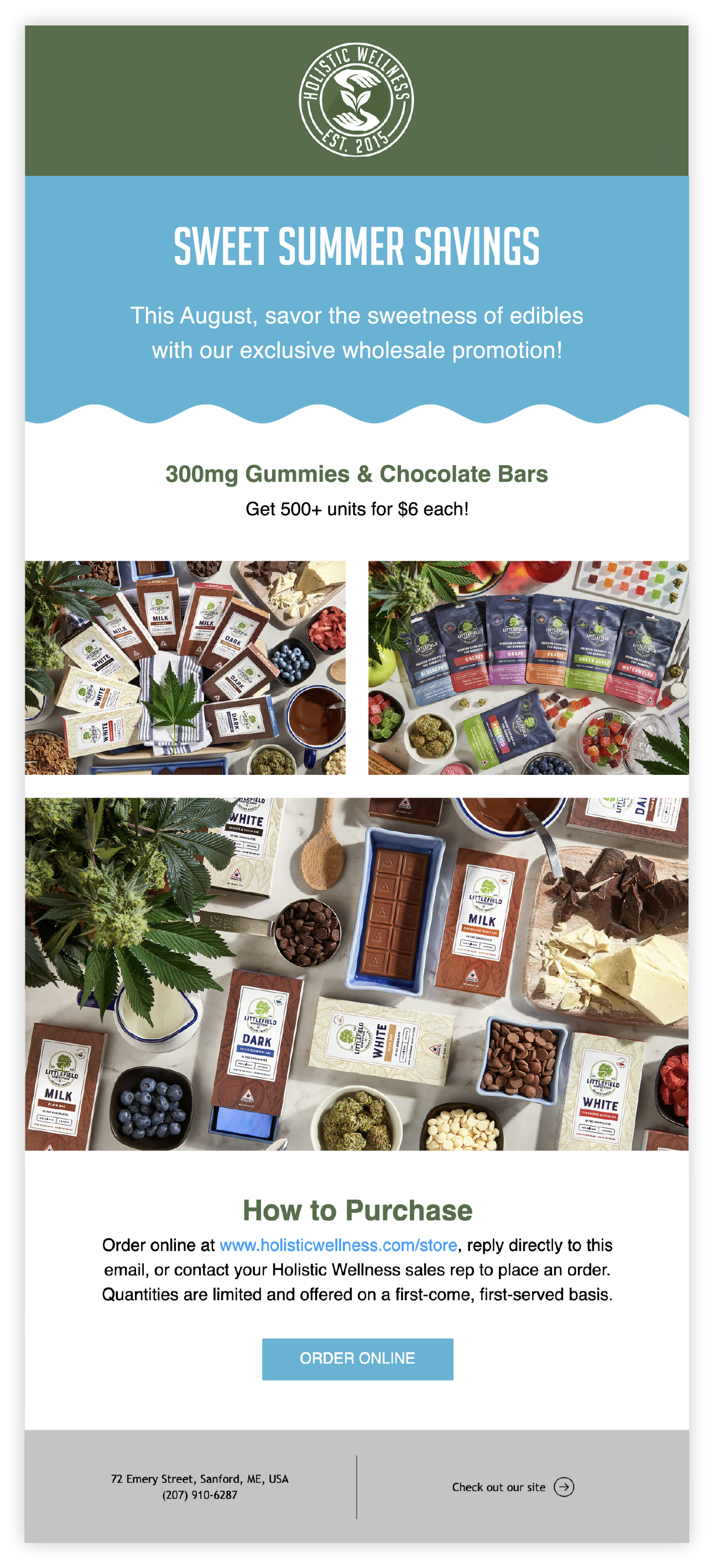 Email Newsletter