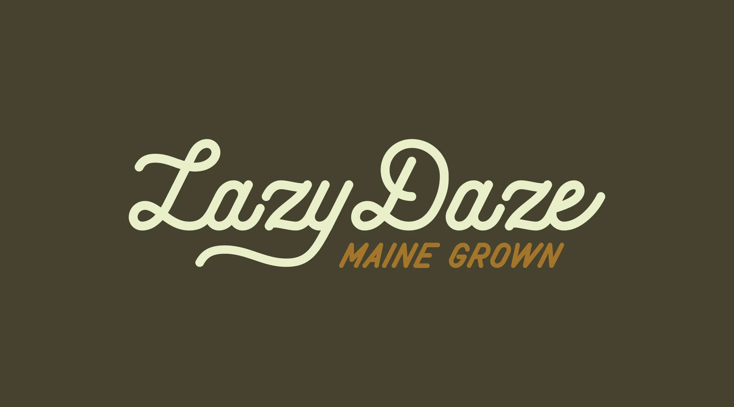 Lazy Daze Branding 2.jpg