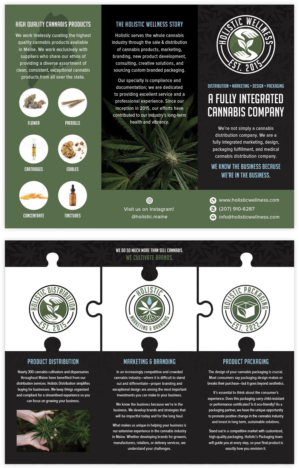 Holistic Wellness Brochure