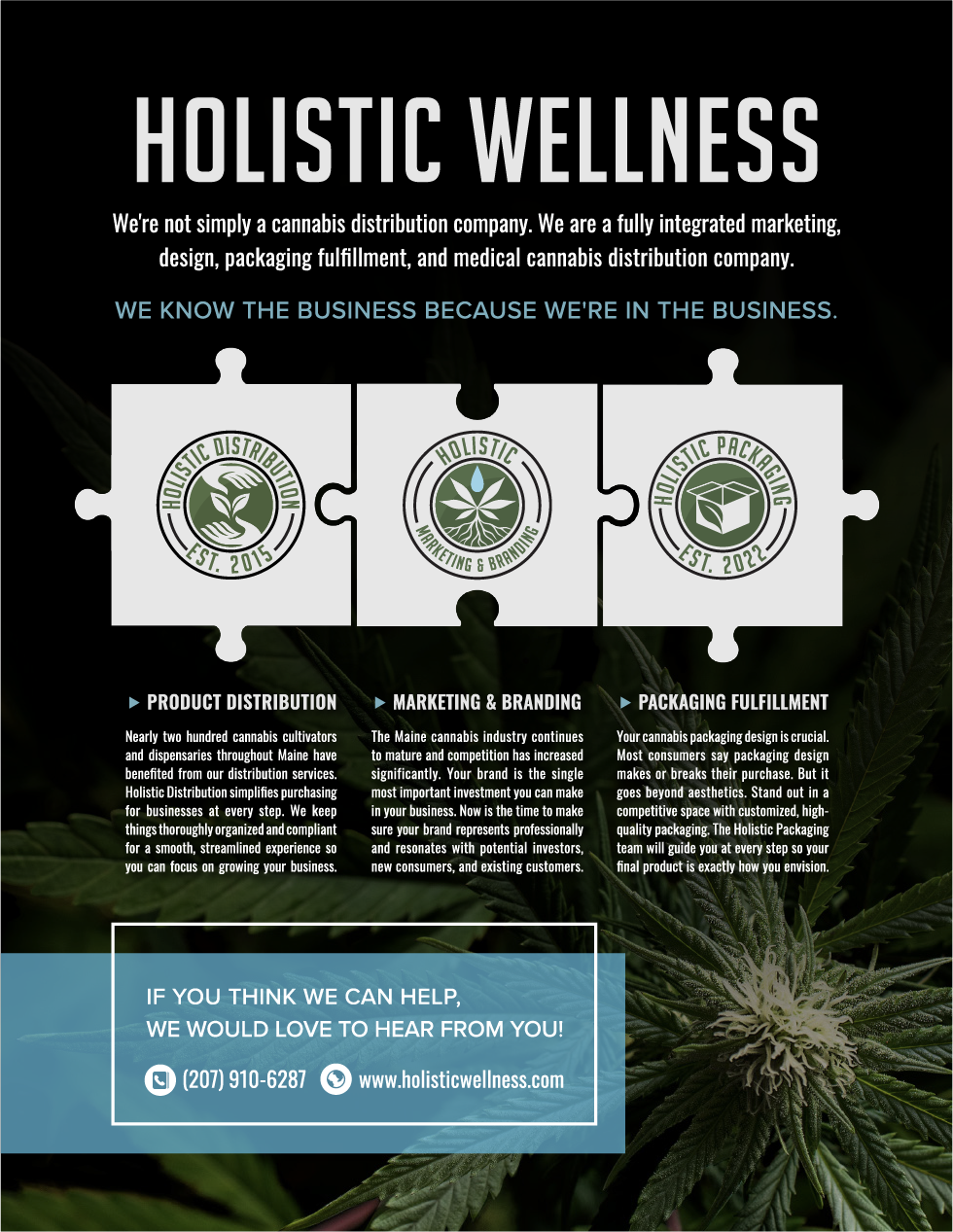 Holistic Wellness Print Ad