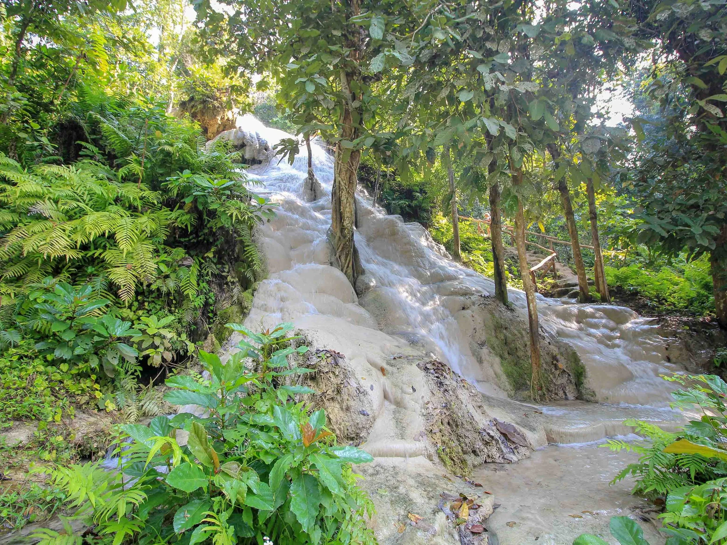 A lush green forest with a small cascading waterfall flowing over rocky terrain, surrounded by foliage and trees.