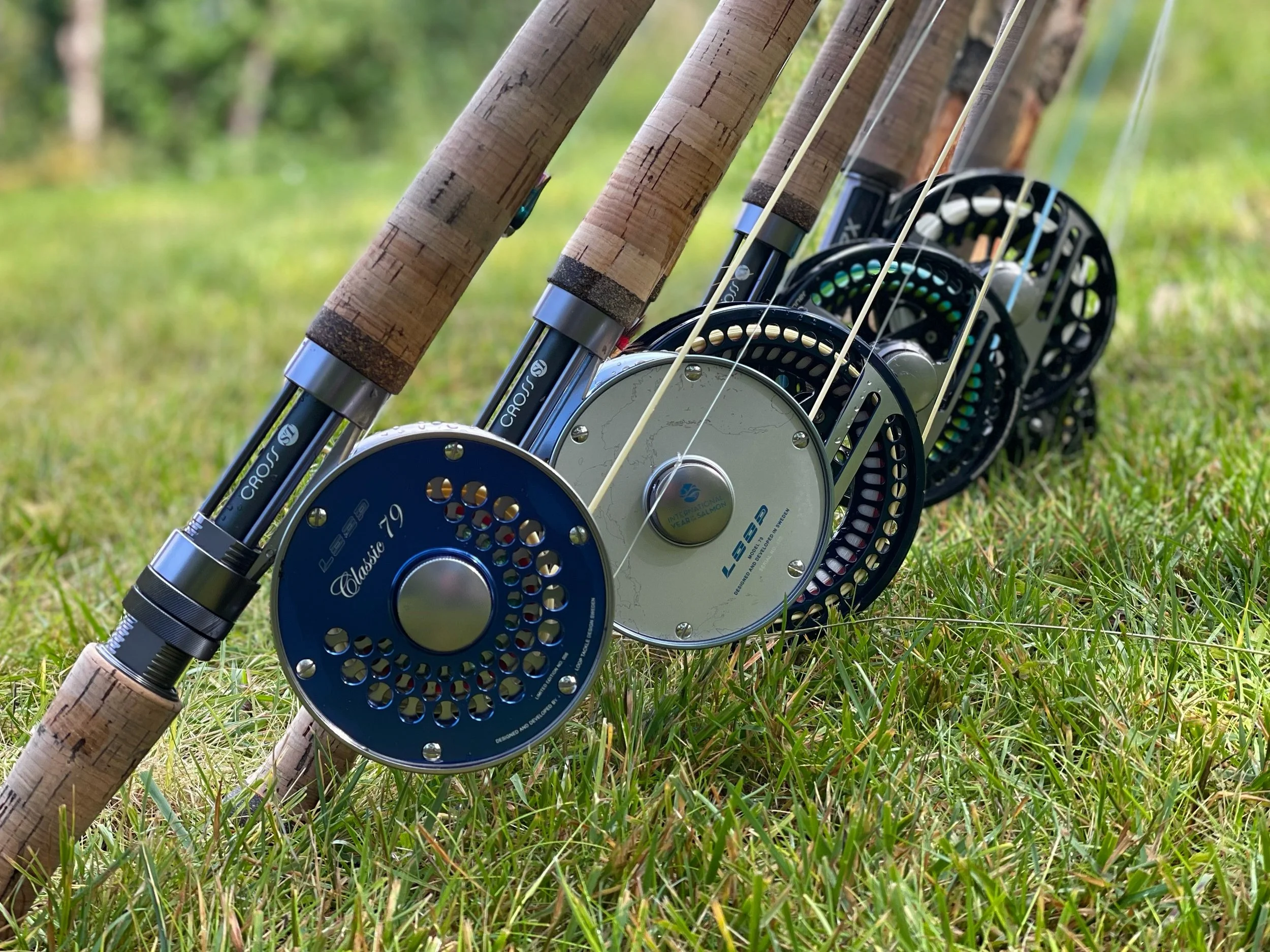 A row of fishing rods with cork handles and metal reels, standing on green grass outdoors.
