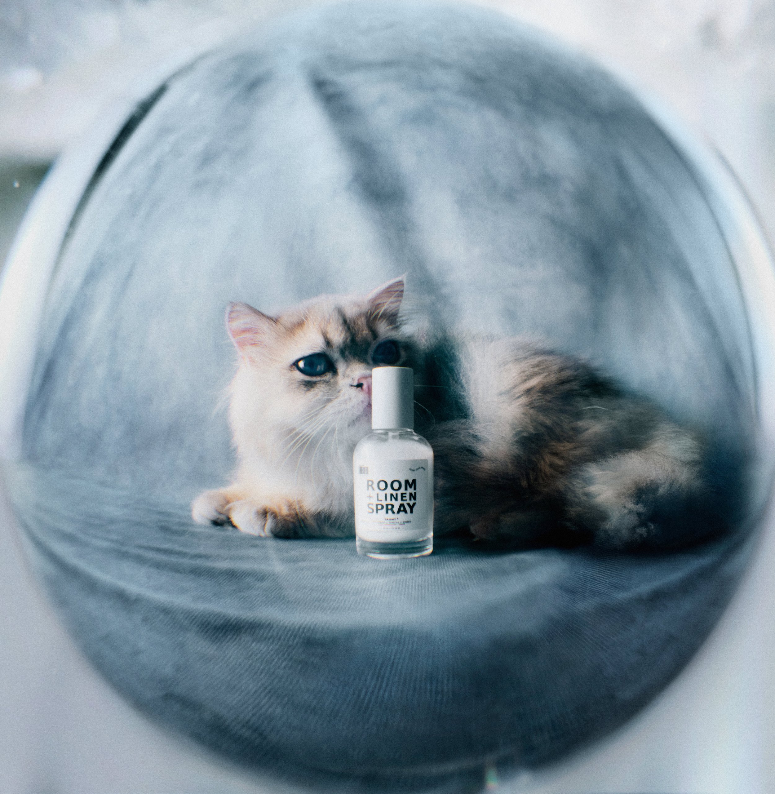 250904_DedCool_S1_05_MiniRoomSprayTaunt_00392-AS.jpeg