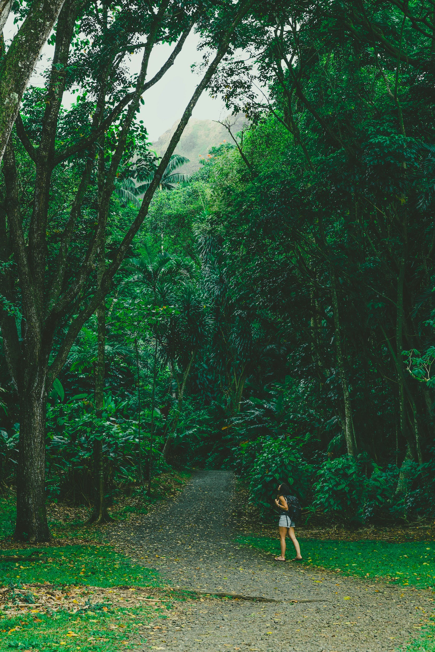 A woman with a backpack standing on a dirt path in a lush, green forest with dense trees and foliage.