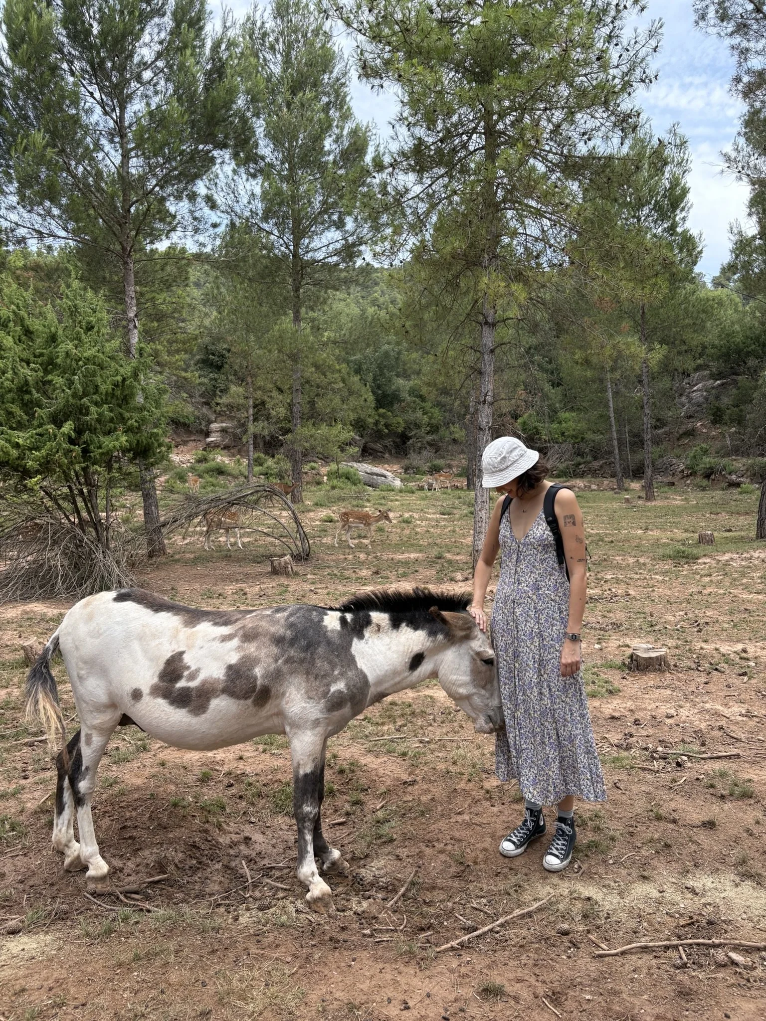 Joven mujer con sombrero blanco, vestido largo y zapatillas Converse, acariciando a una yegua blanca con manchas negras, en un entorno boscoso con árboles y animales en el fondo.