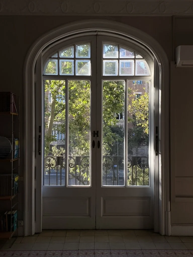 Puerta doble de vidrio con marco blanco y pequeñas ventanas en la parte superior, vista al exterior con árboles y edificios.