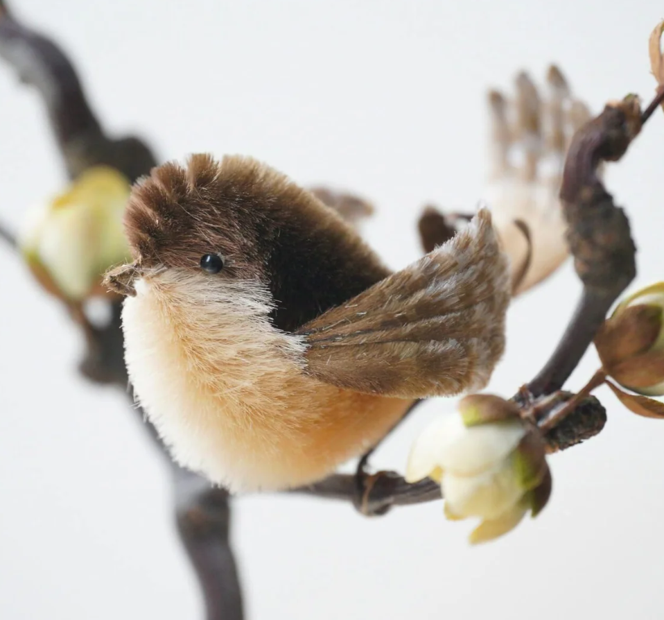A small bird with brown, white, and black feathers perched on a branch with white flowers.