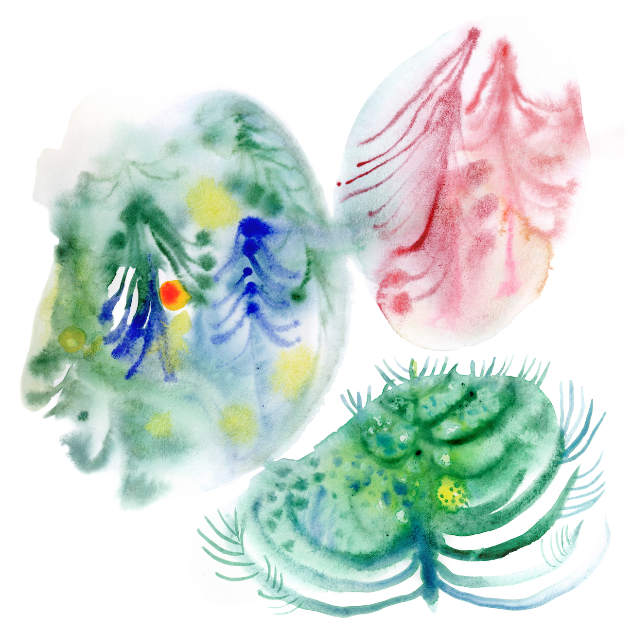 Aline-Zalko-Carnet-Grand-fev25.png