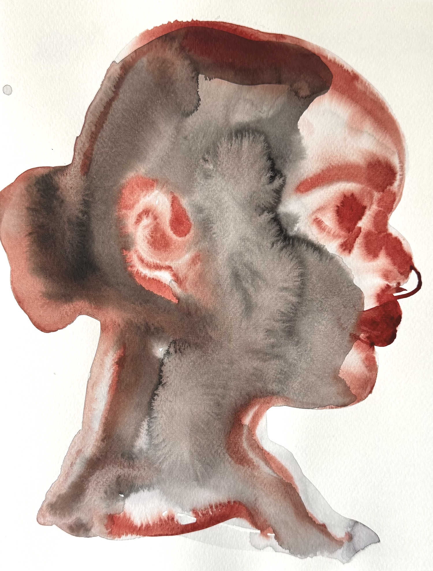 Aline-Zalko-Face-Variations-5.png