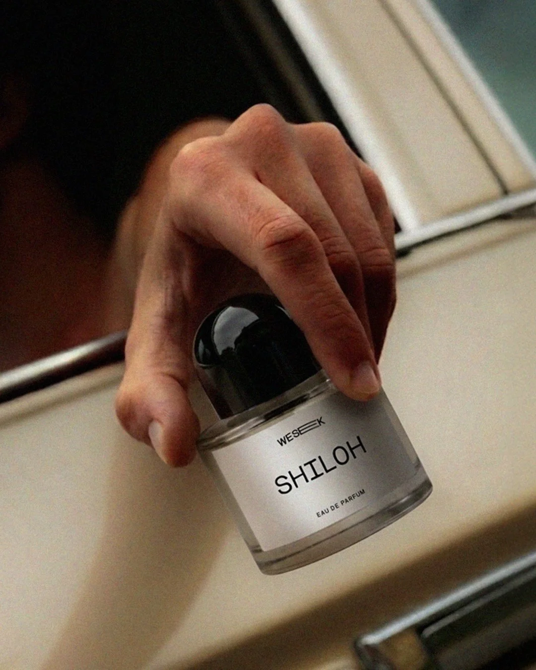 Shiloh.jpg