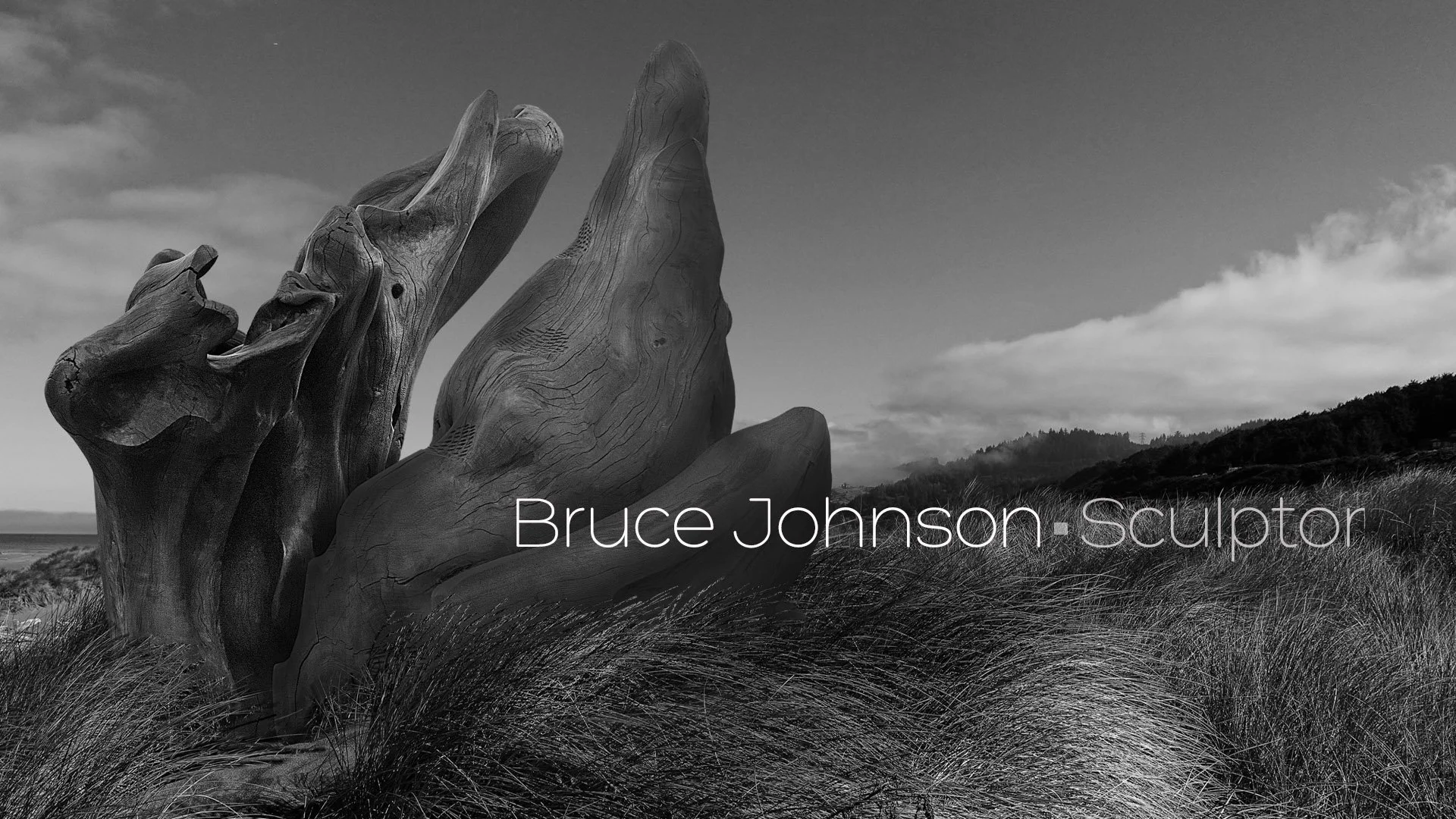 Bruce Johnson 01.jpg