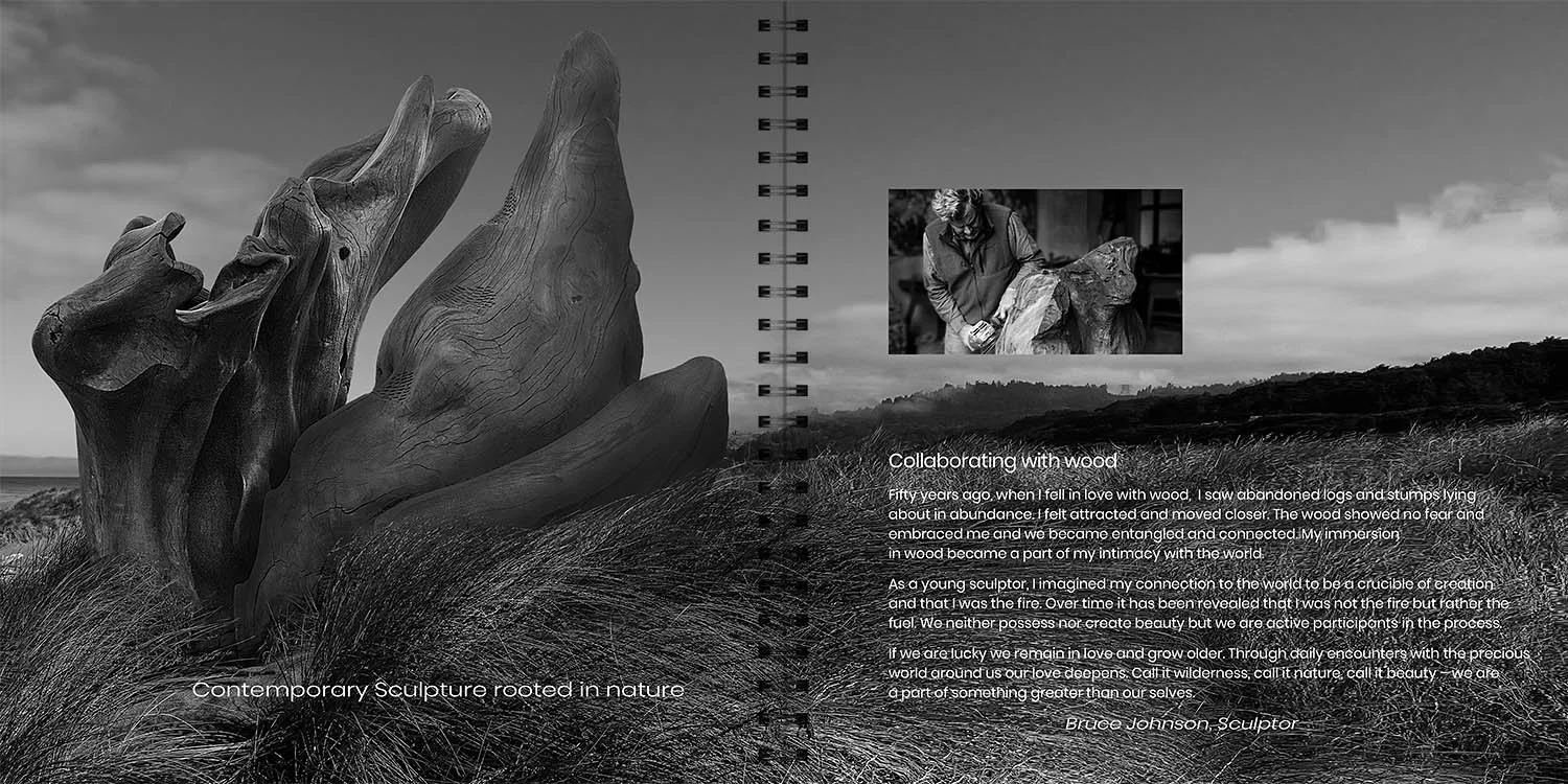 Pages 2 - 3