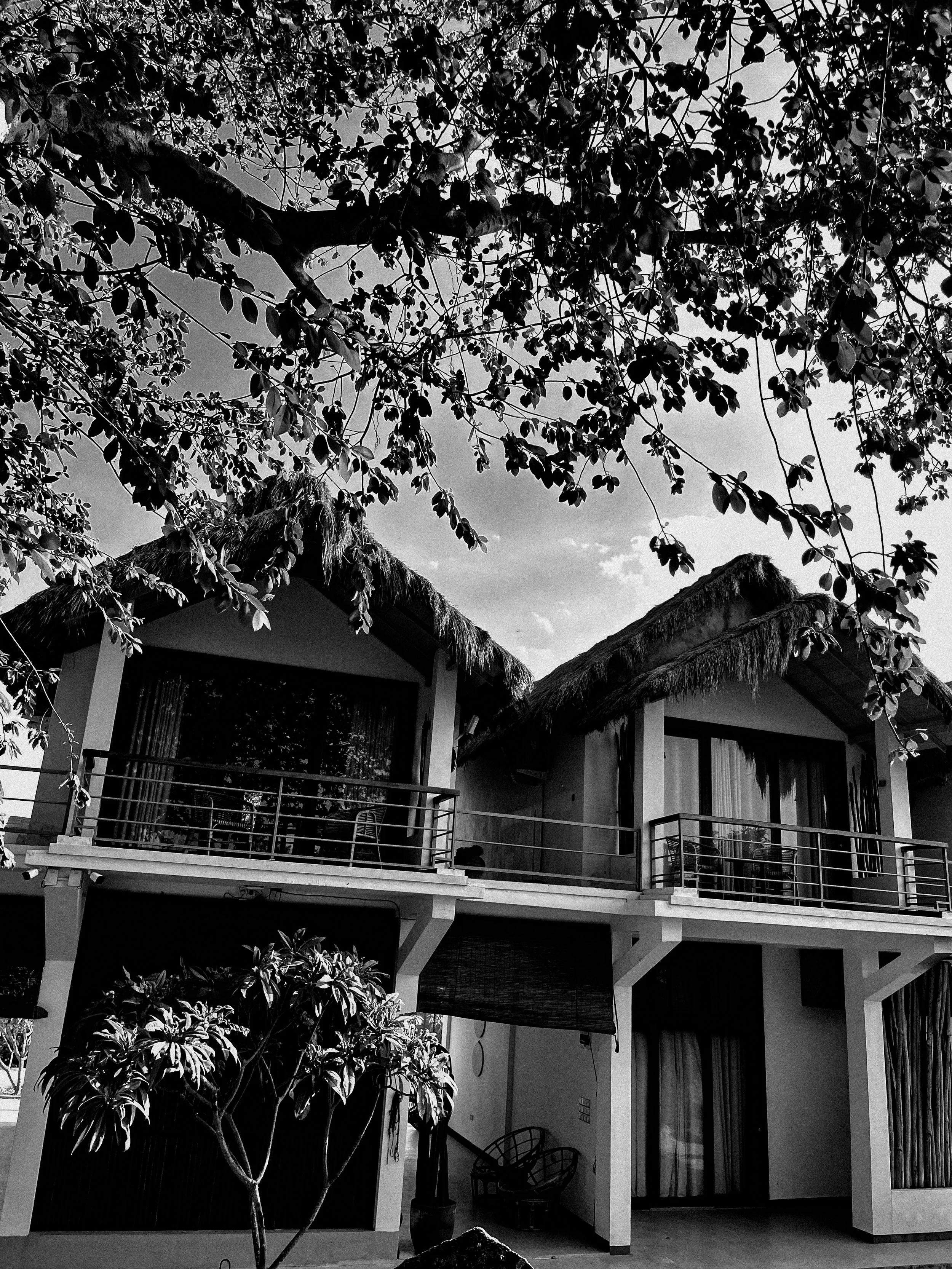 A two-story building with a balcony, thatched roof, and surrounding trees and foliage.