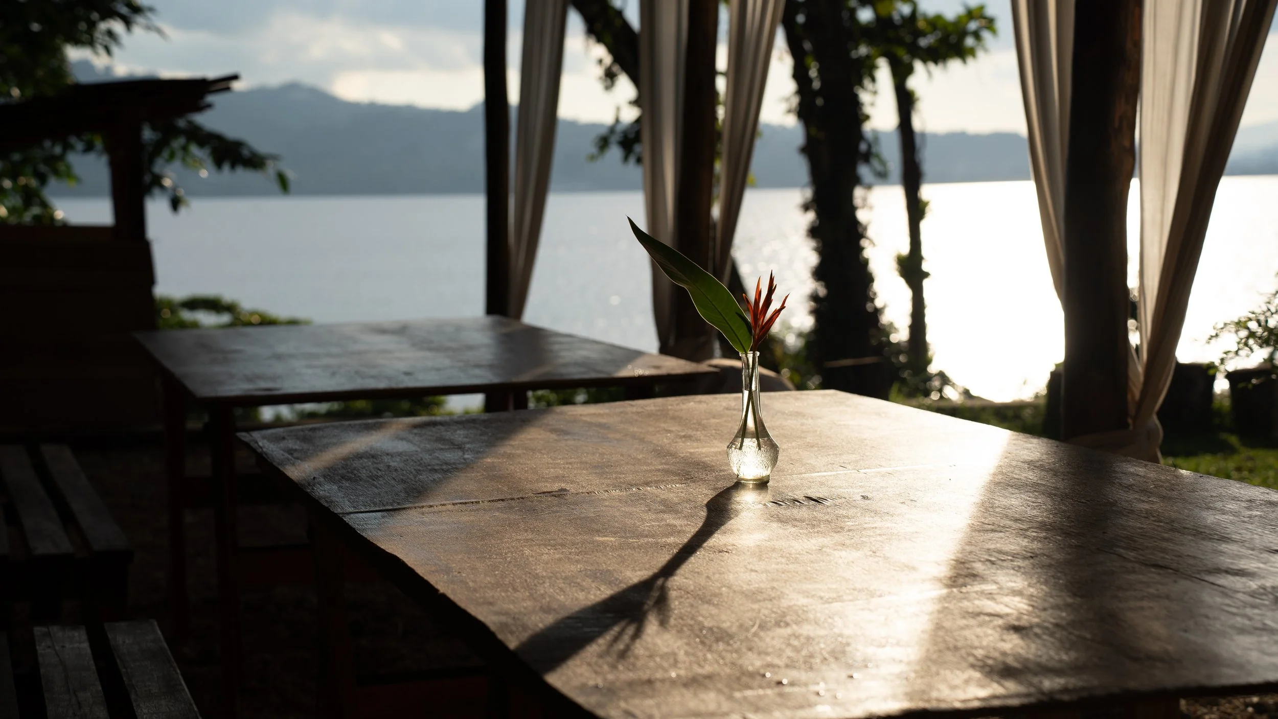 A small glass vase with a single green leaf and orange flower stem on a wooden table. In the background, there is a lake, trees, and mountains under a partly cloudy sky.