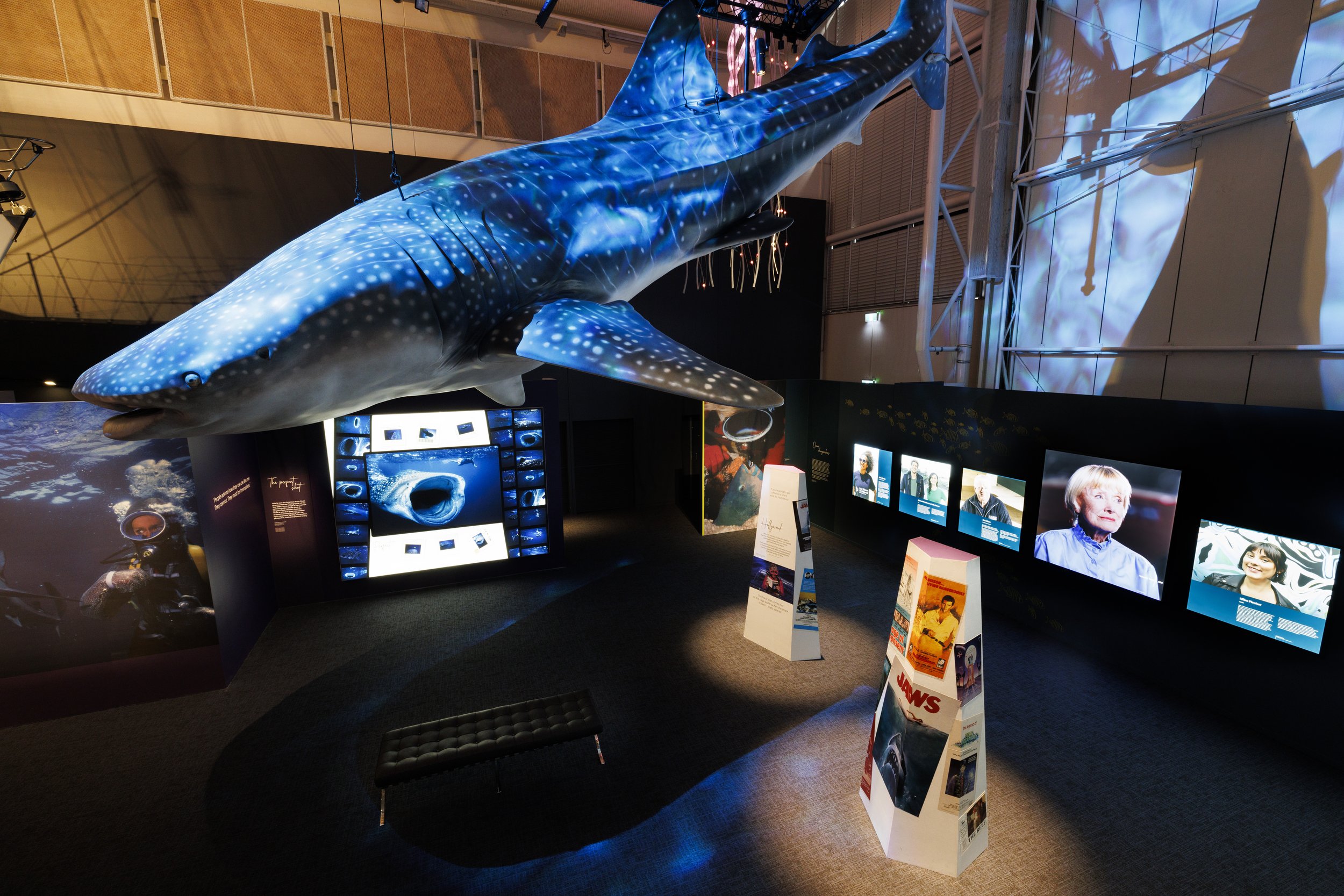 Whale shark installation - Valerie Taylor - An Underwater Life