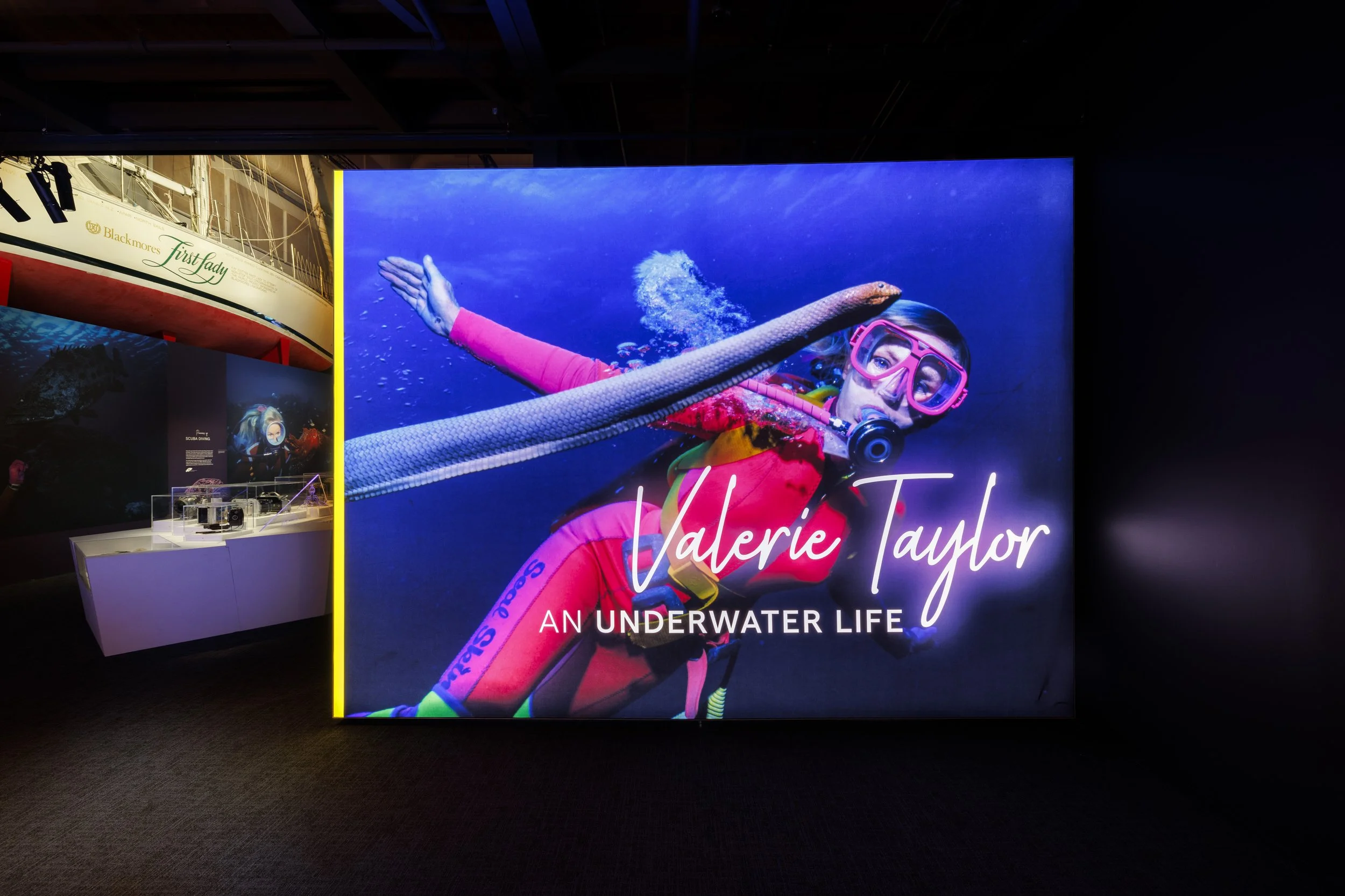 Valerie Taylor - An Underwater Life