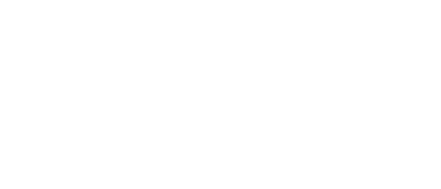 Distillius Singapore craft distillery logo.