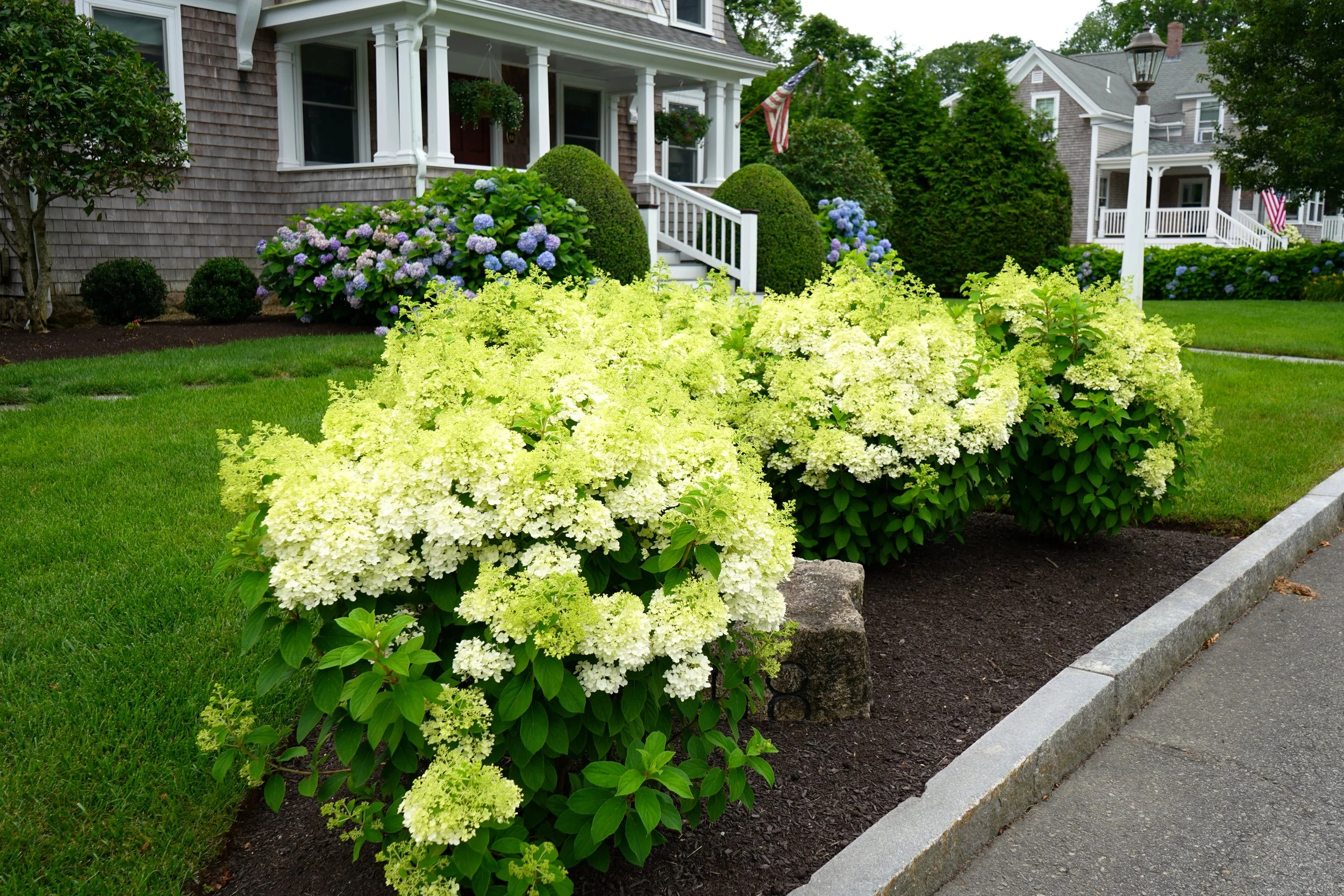 DSC06837-edited.JPG