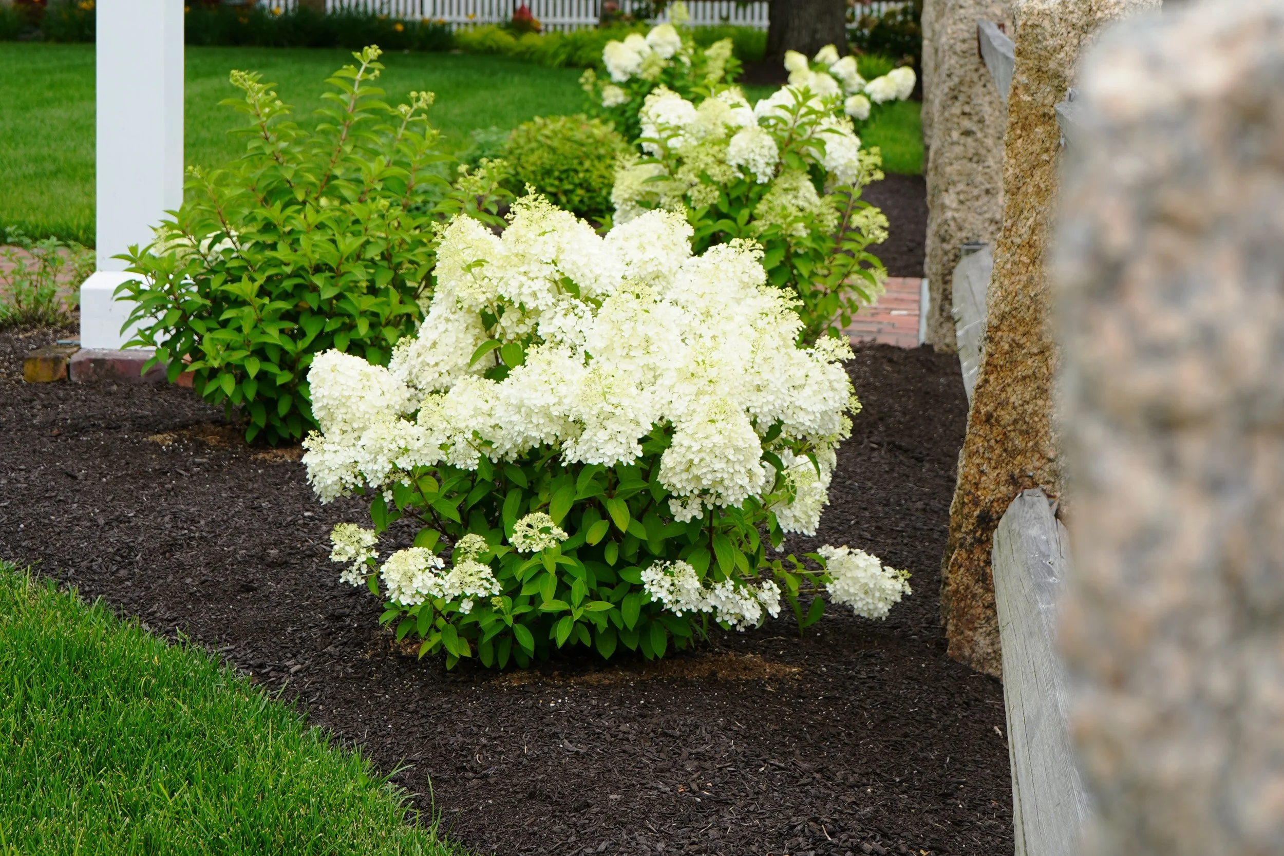 DSC06628-edited.JPG
