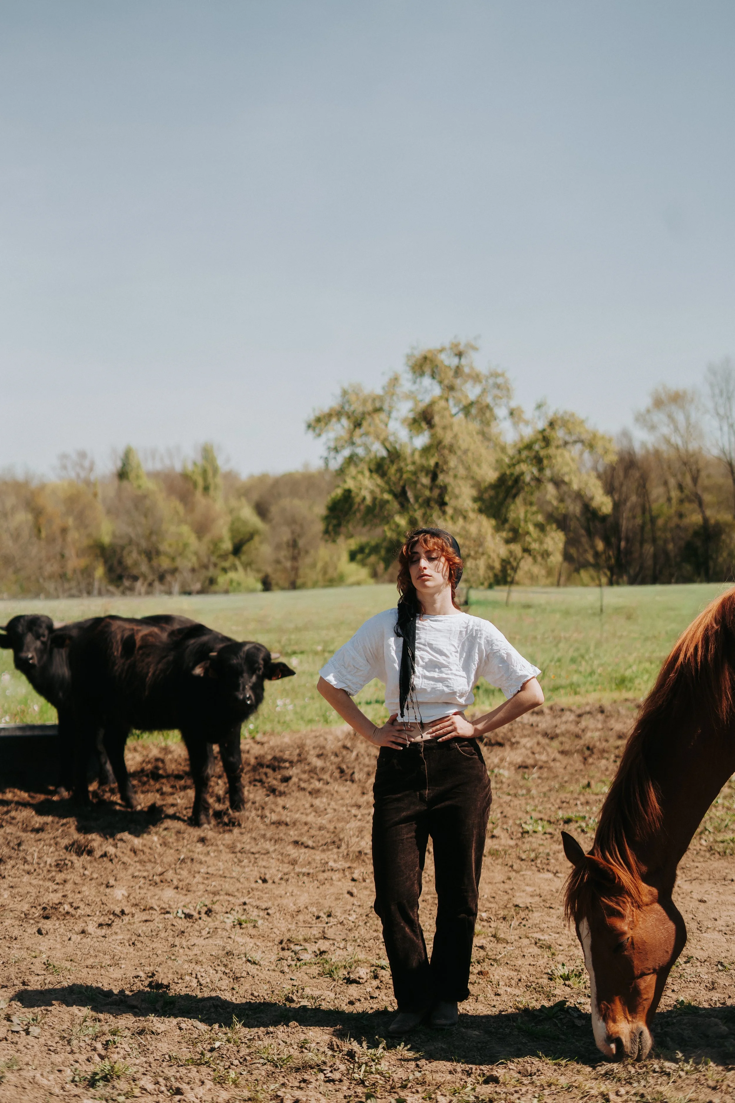 Une femme avec des cheveux bouclés roux, portant une chemise blanche et un pantalon noir, se tient dans un champ avec des vaches et un cheval. Le paysage naturel comprend des arbres et un ciel clair.