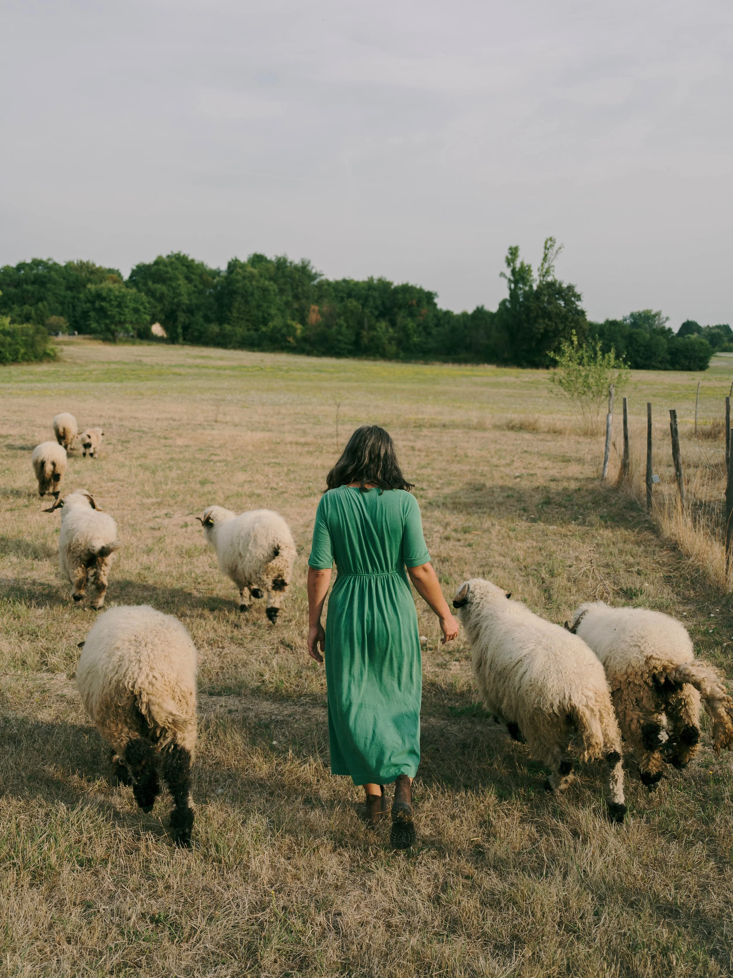 Une femme en robe verte marche dans un champ avec des moutons, paysage rural avec des arbres et un ciel nuageux.