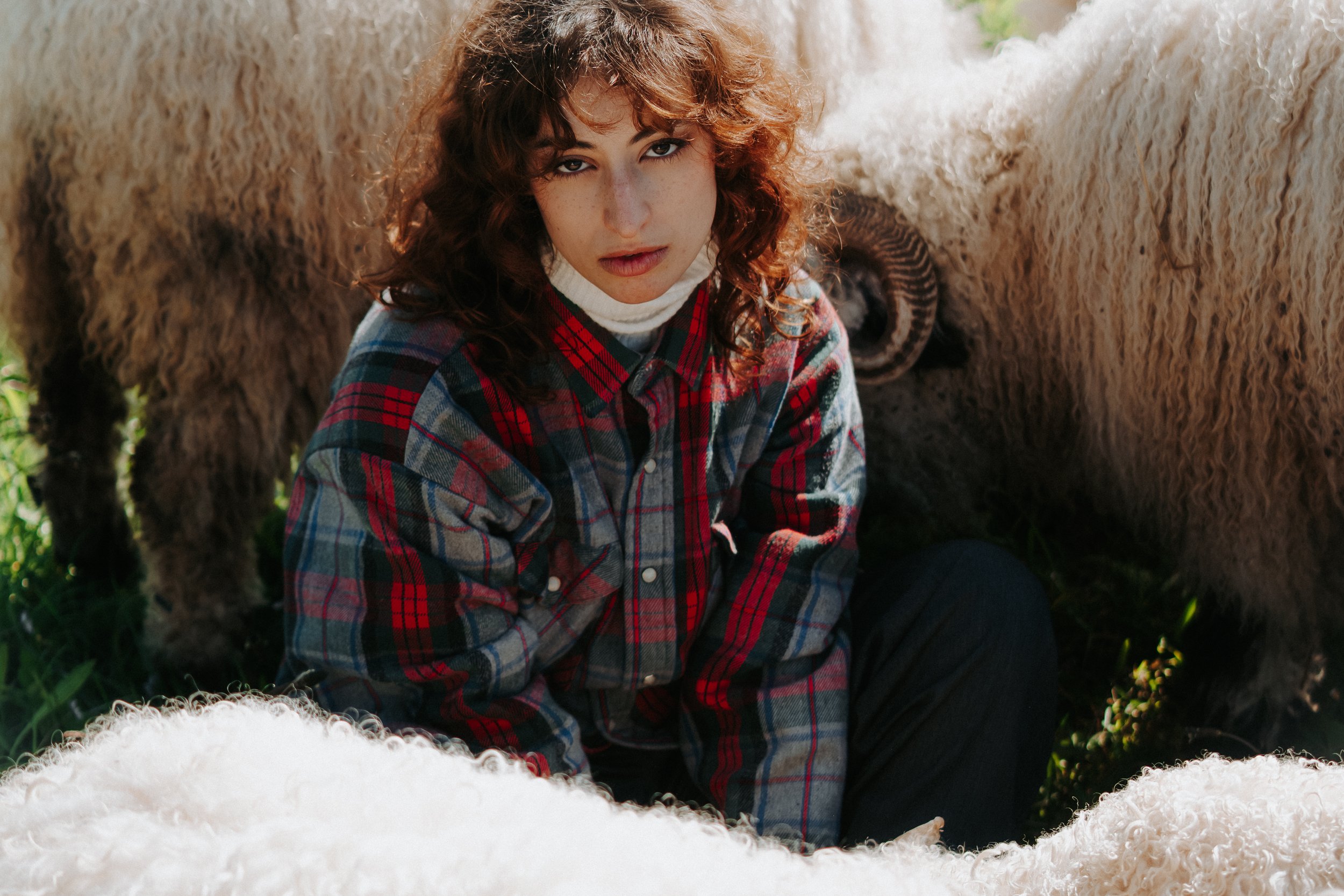 Jeune femme aux cheveux bouclés roux, portant une chemise en flanelle écossaise, assise parmi des moutons blancs dans un pré.