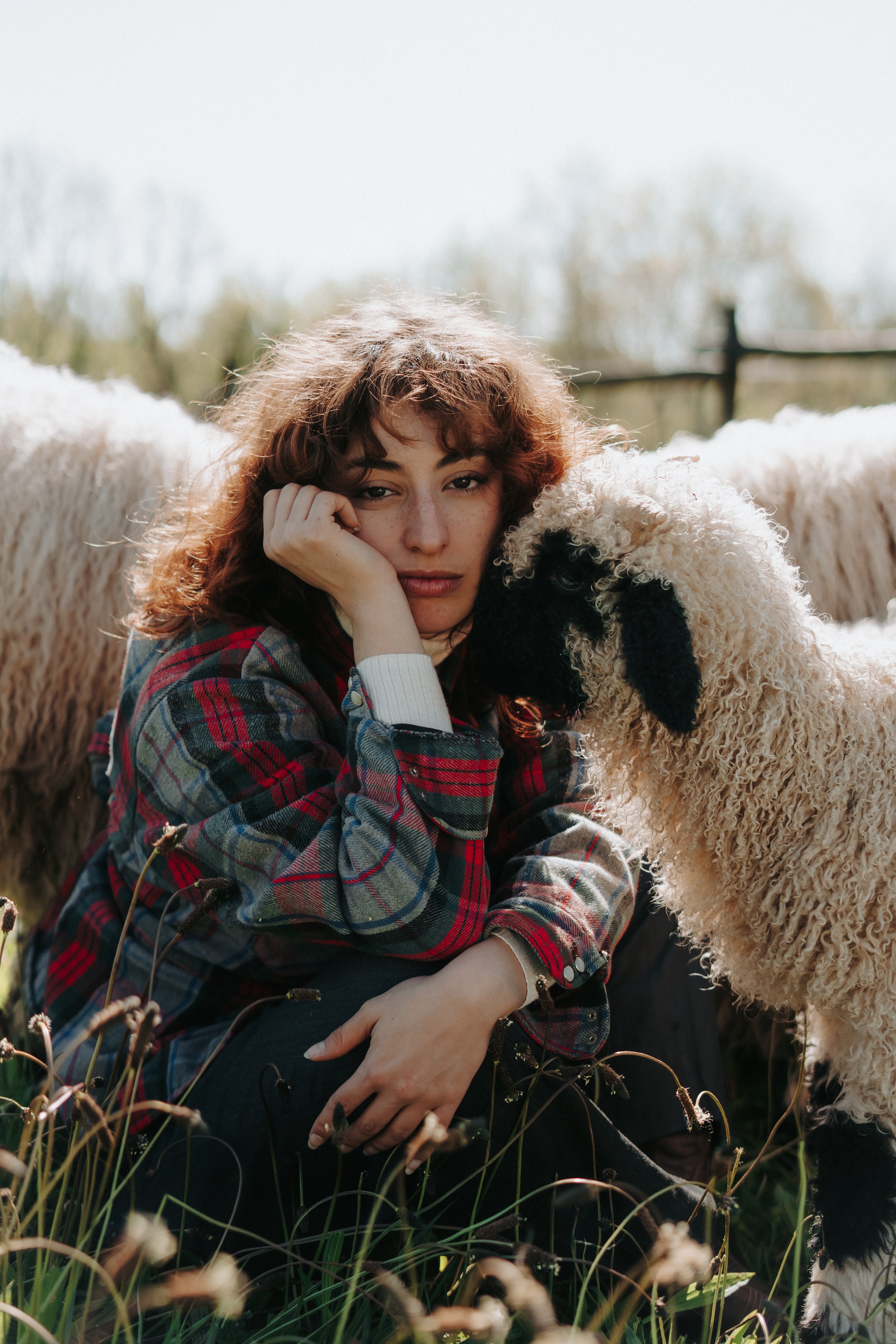 Une jeune femme aux cheveux bouclés et un chien faisaient un câlin dans un champ d'herbes sèches par une journée ensoleillée.