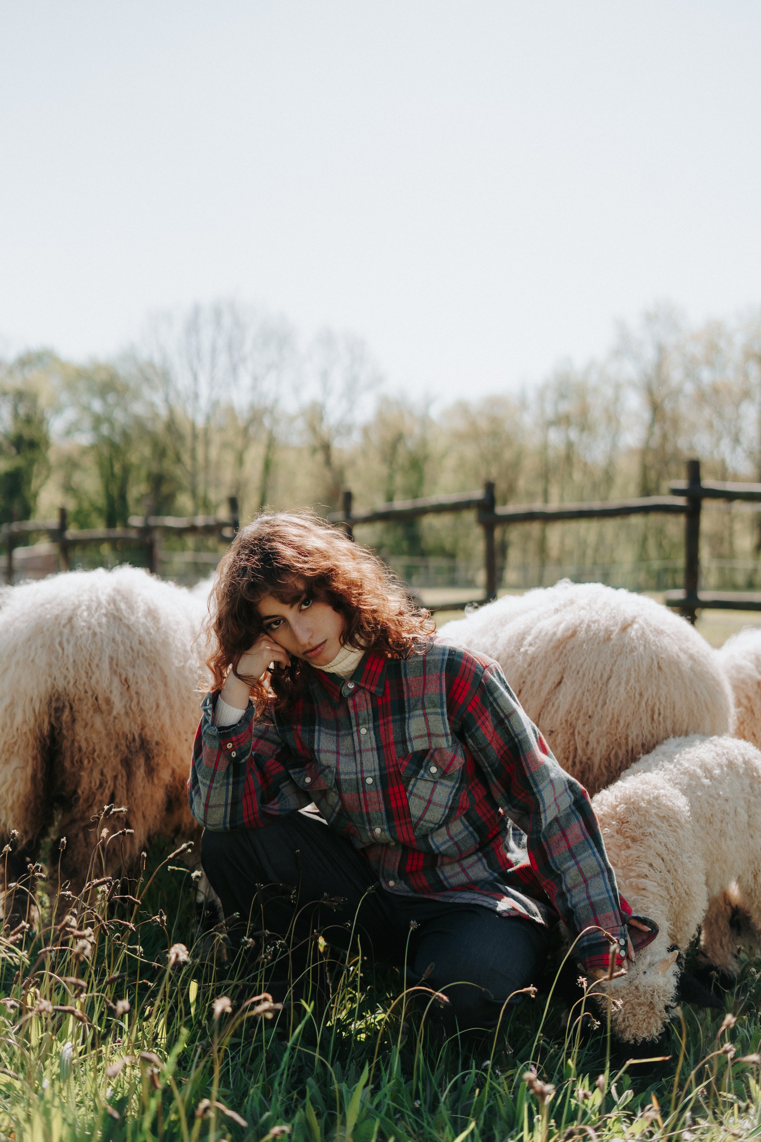 Jeune femme assise dans un champ avec des moutons, portant une chemise à carreaux, avec un arbre et une clôture en arrière-plan.