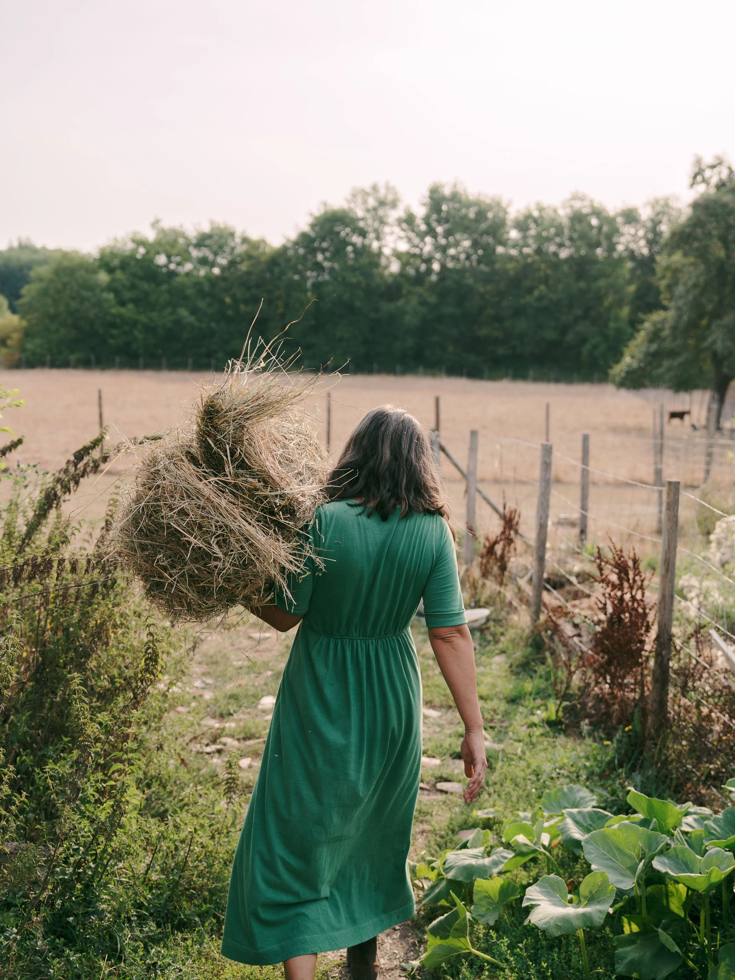 Une femme en robe verte marche dans un jardin avec des légumes, portant un grand panier en osier sur l'épaule. Elle est vue de dos, avec des arbres en arrière-plan et un ciel ensoleillé.