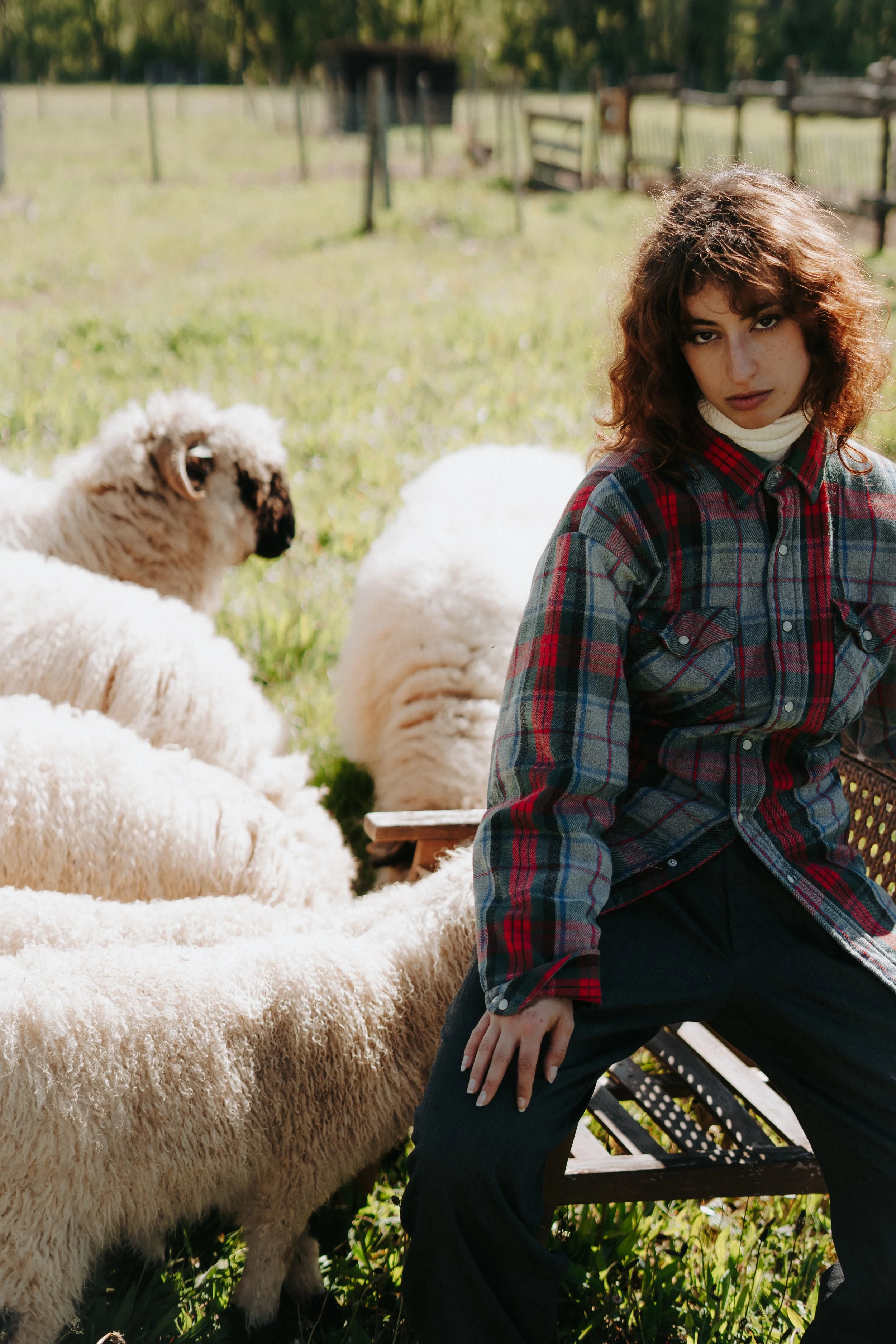 Une jeune femme en chemise à carreaux rouge et bleu, assise près de deux moutons blancs, dans un enclos en plein air avec des clôtures en bois, sous un ciel ensoleillé.
