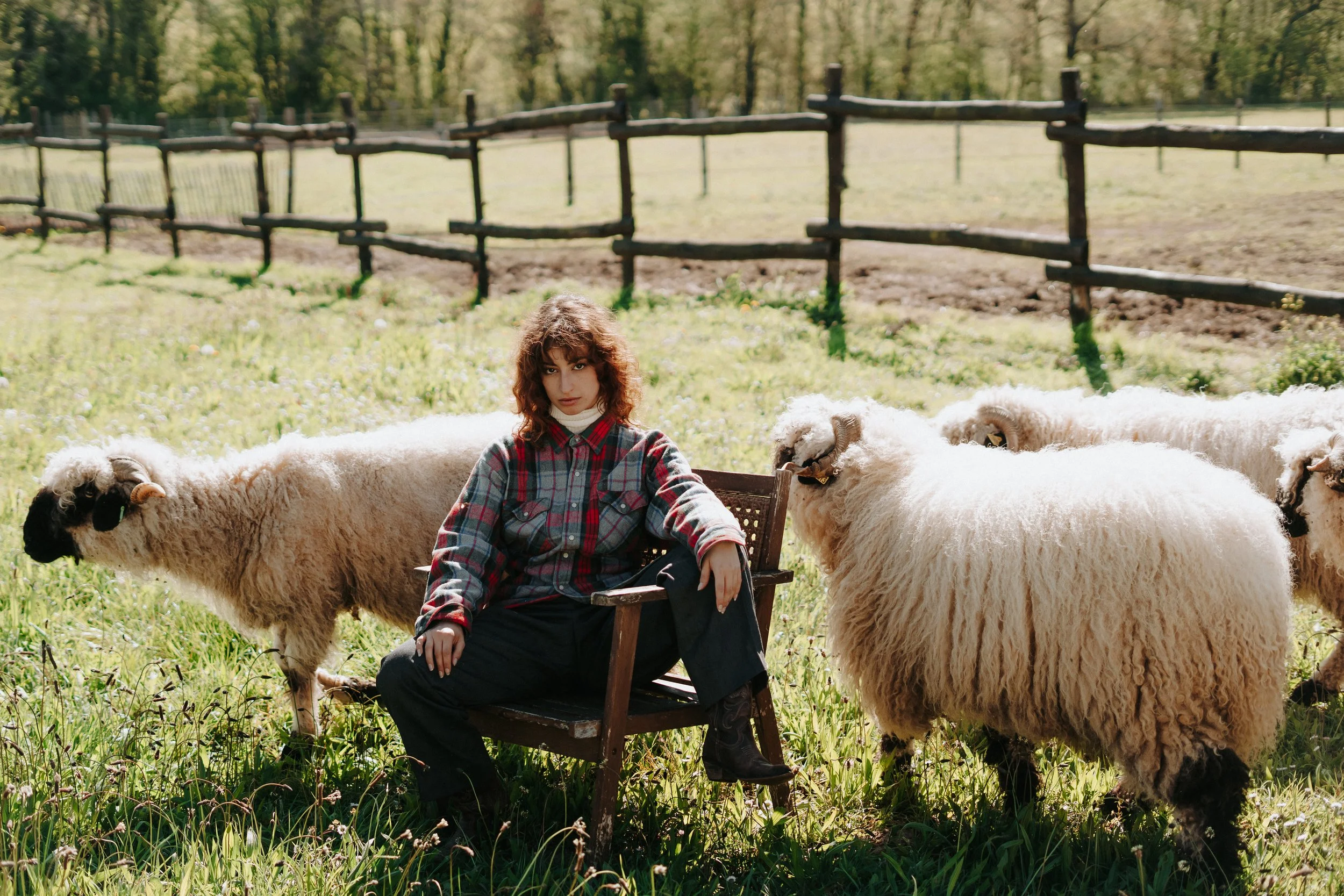 Une femme assise dans un champ entourée de moutons, avec une clôture en bois en arrière-plan par une journée ensoleillée.