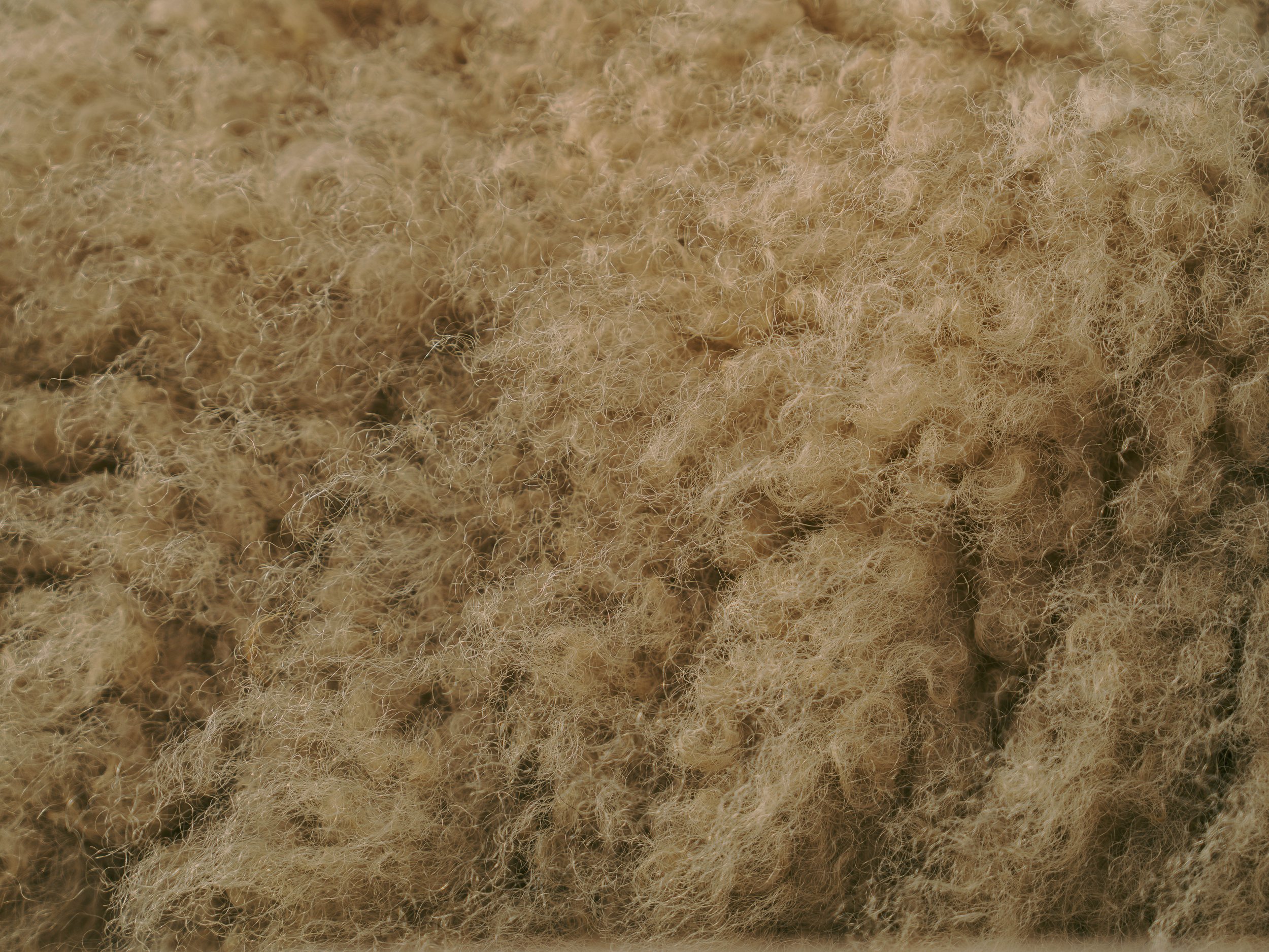 Zoomed in on a piece of beige, fluffy wool or fleece material.