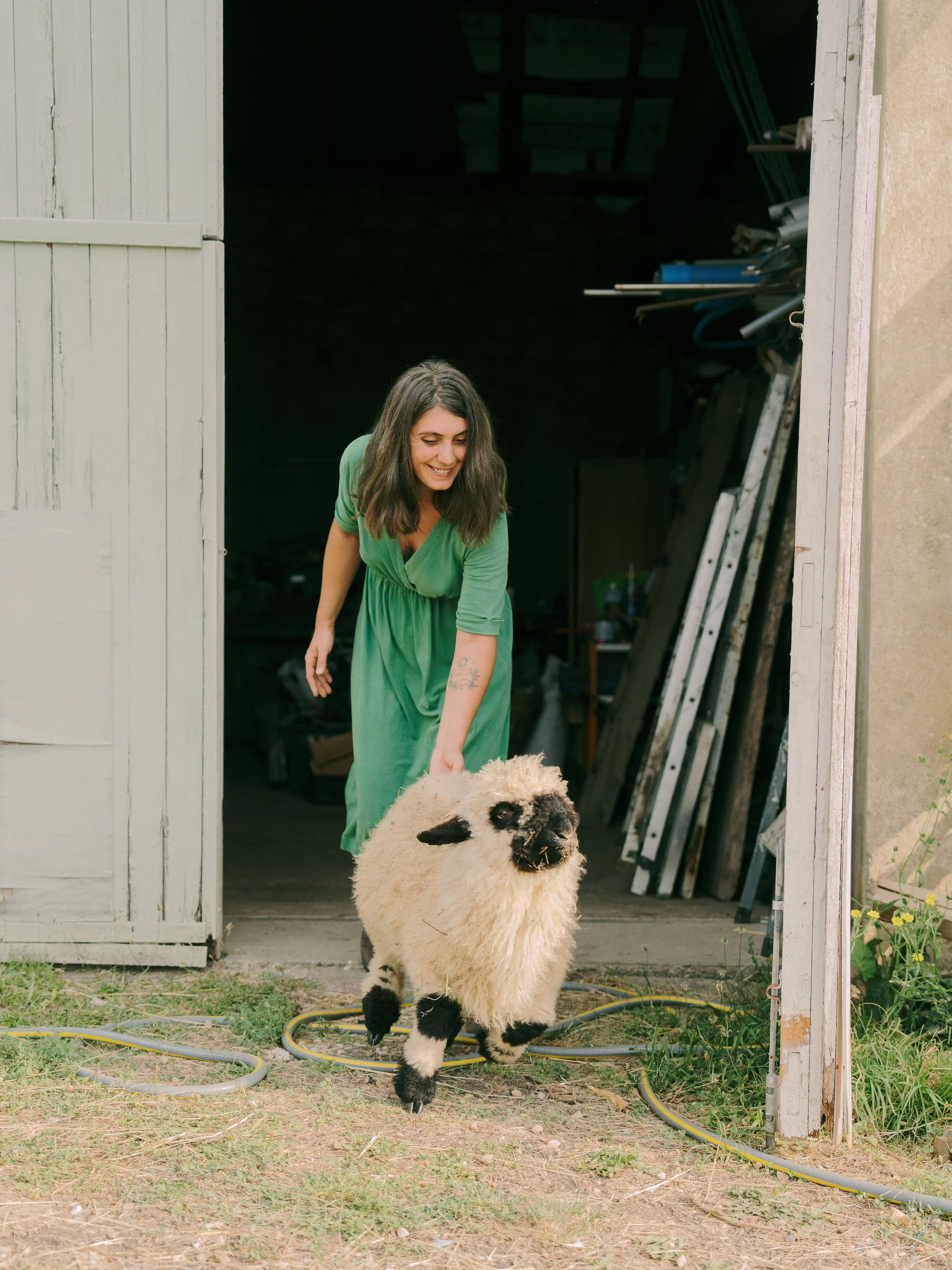 Une femme en robe verte joue avec un mouton à laine bouclée à l’extérieur d’un abri en bois, dans un jardin, avec des tuyaux d’arrosage autour d’elle.