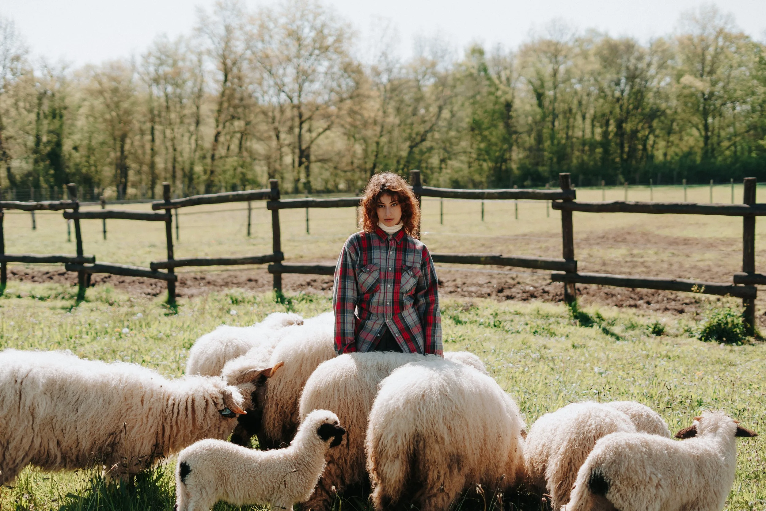 Une jeune femme avec des cheveux bouclés rouges, portant une chemise à carreaux, se tient parmi des moutons dans un champ en plein air avec des arbres en arrière-plan.
