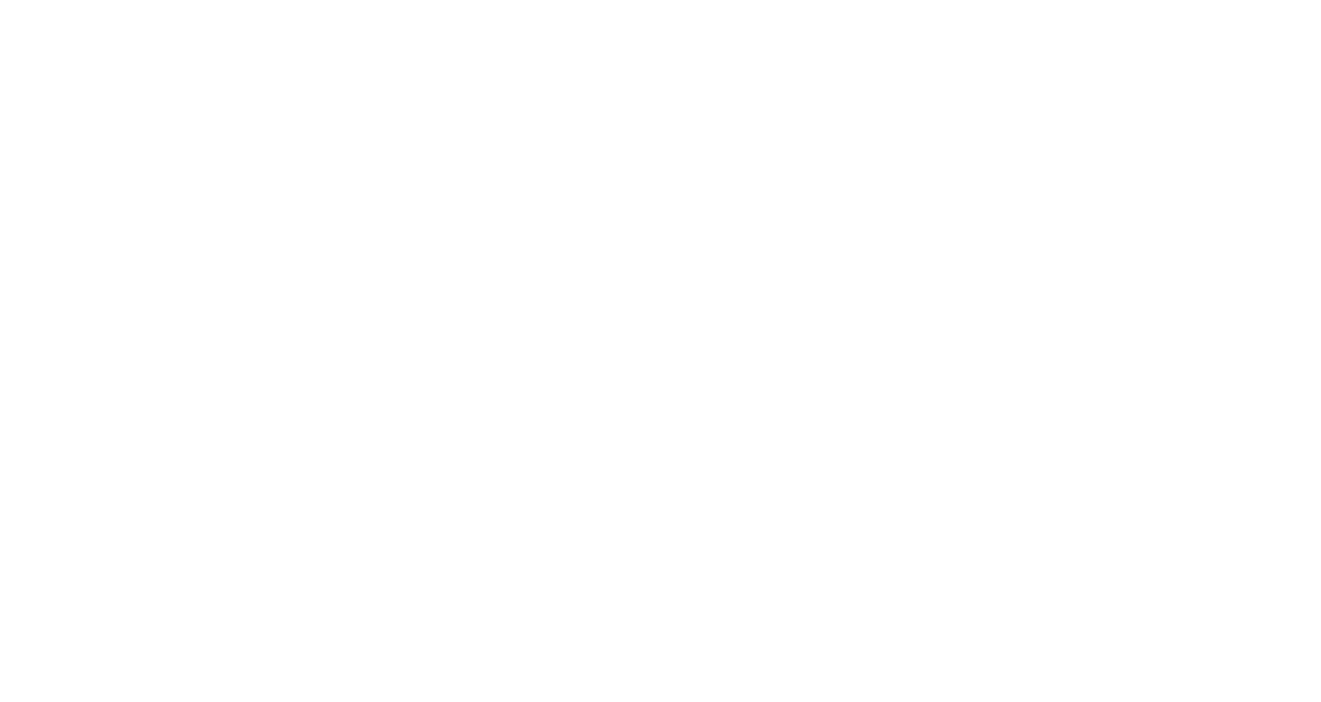 Logo for Bright Feather Studios featuring a stylized feather and the text 'Bright Feather Studios' underneath.