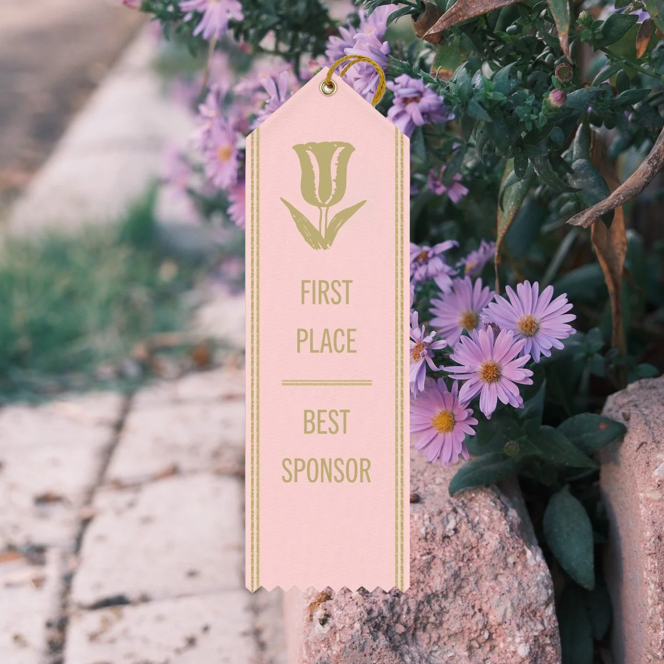First Place / Best Sponsor