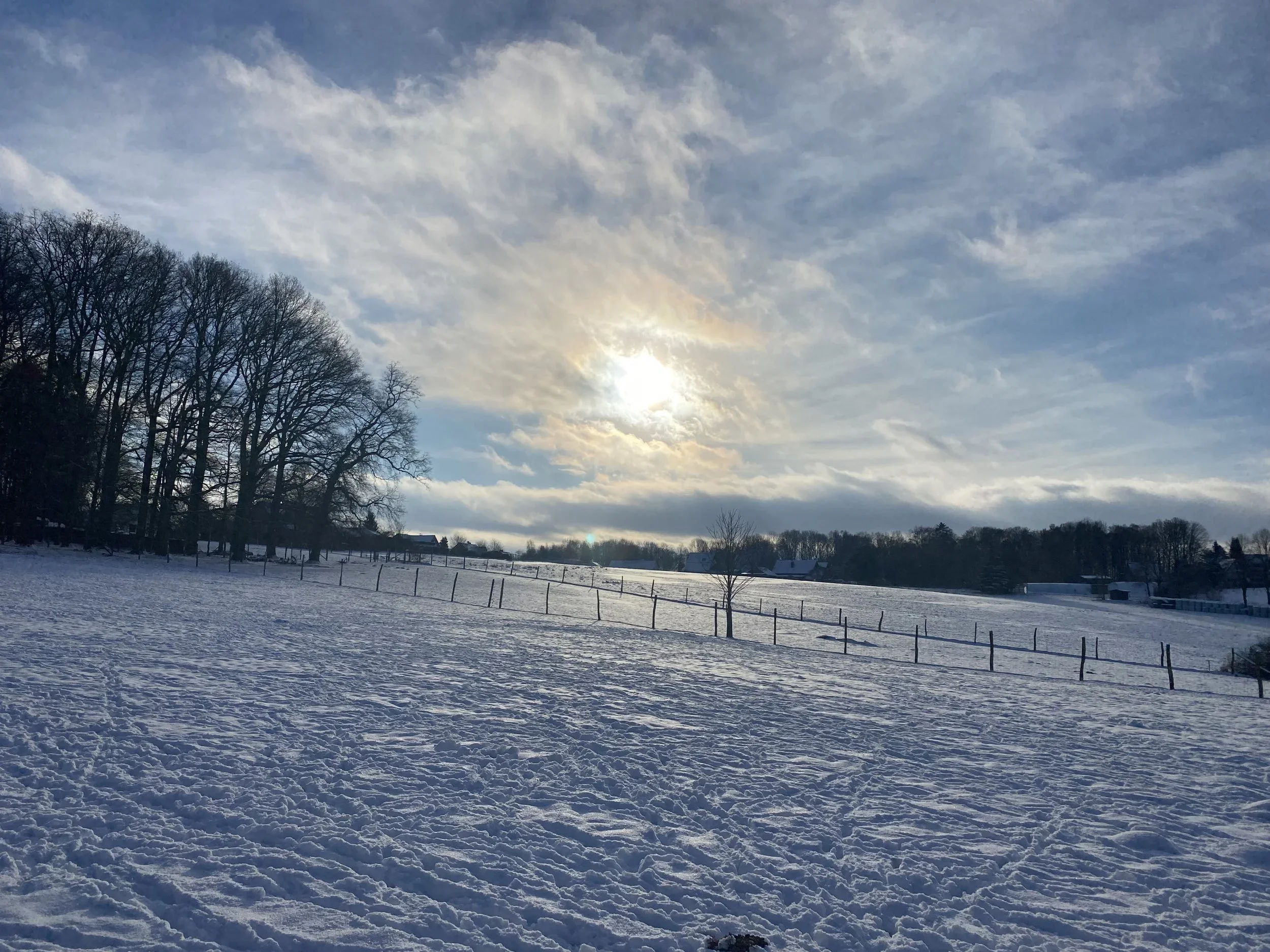 Zwischen Wind und Wurzeln zu Hause ankommen