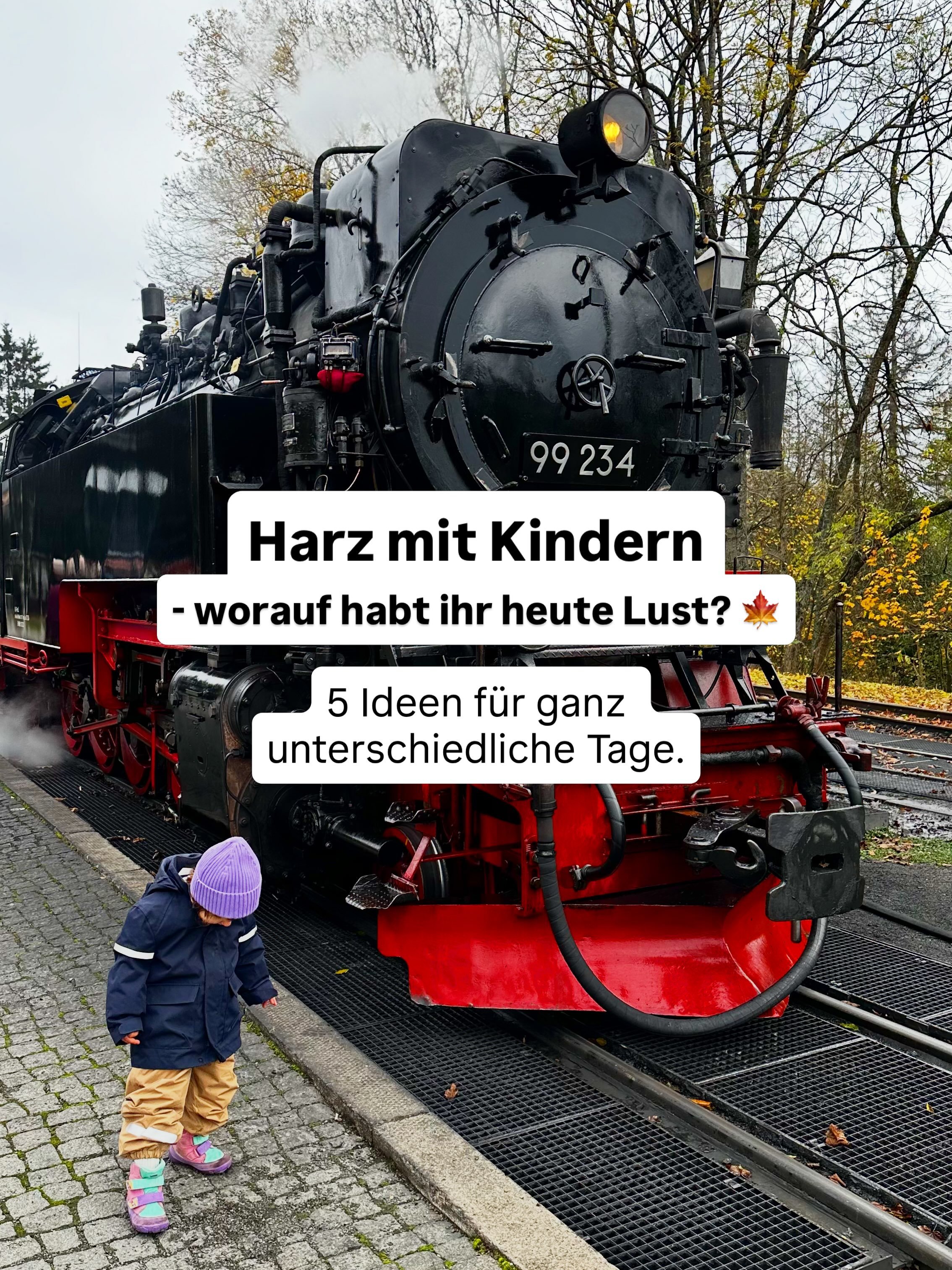 Harz mit Kindern &ndash; aber worauf habt ihr heute Lust? 🍂
Nicht jeder Familientag braucht dasselbe Programm. Manchmal wollen die Kinder Action, manchmal m&ouml;chten wir einfach nur raus in die Natur &ndash; und manchmal brauchen wir einen Plan f&