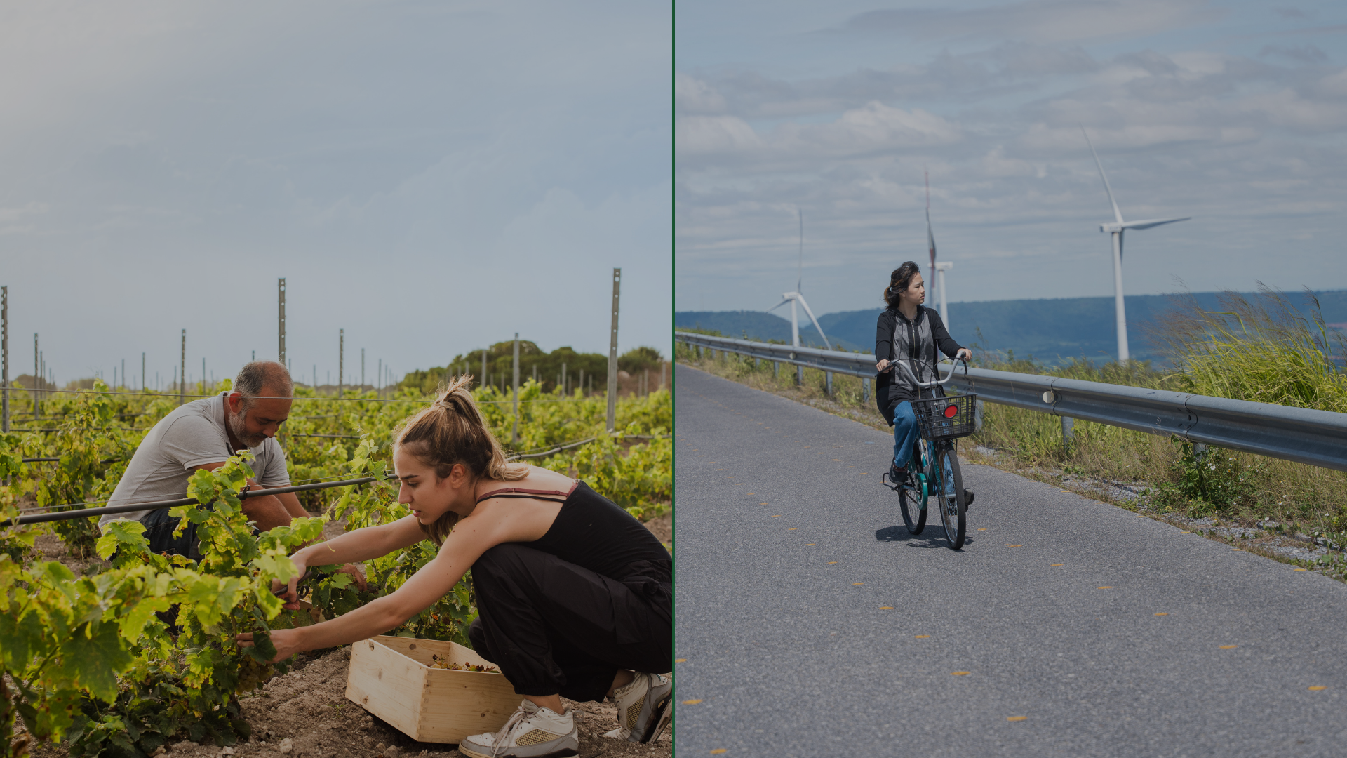 Regenerative vs Sustainable Travel: The Real Difference